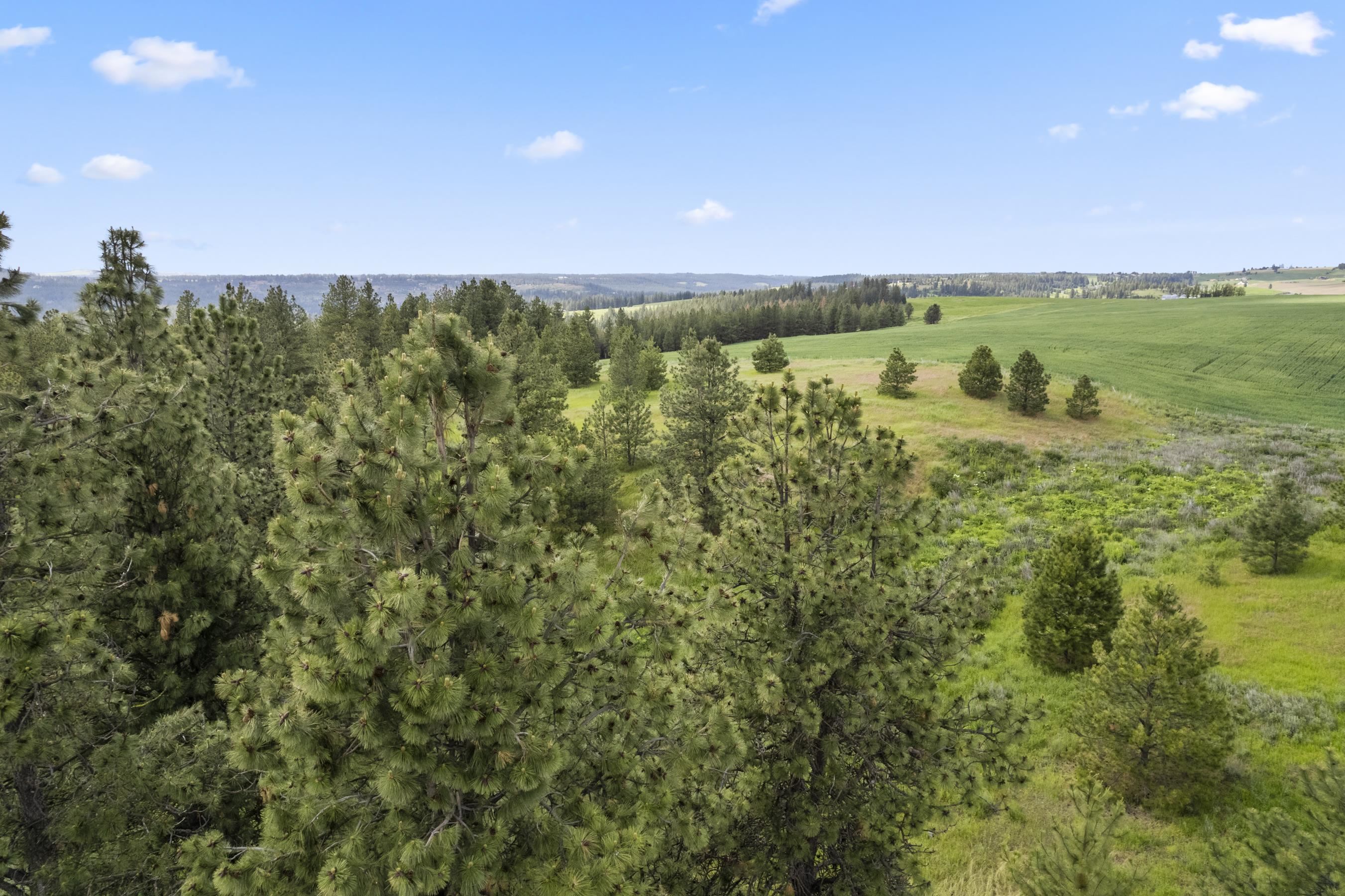 13853 S Serenity Ln - Photo 25