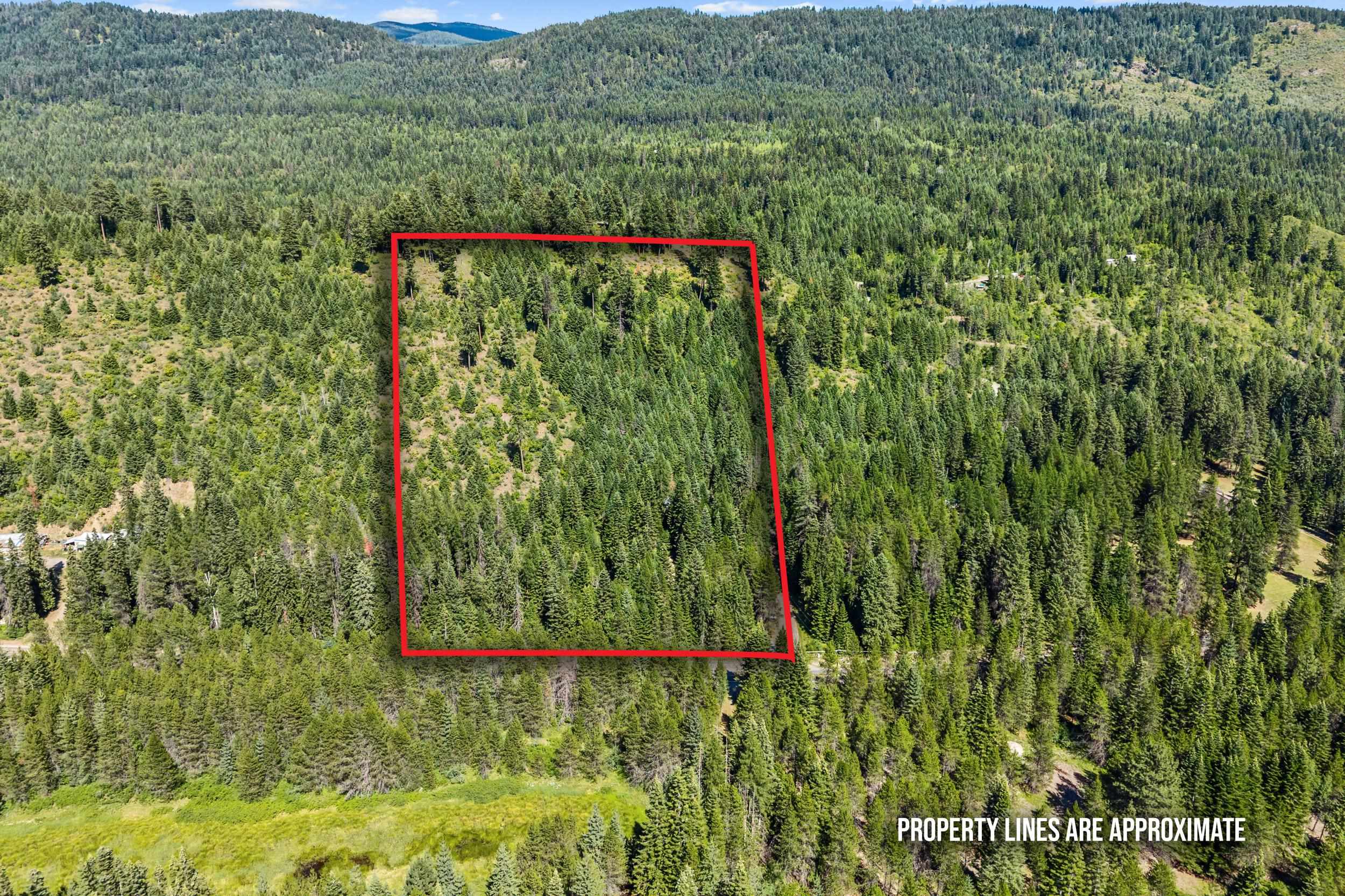 28922 Le Clerc Rd - Photo 41