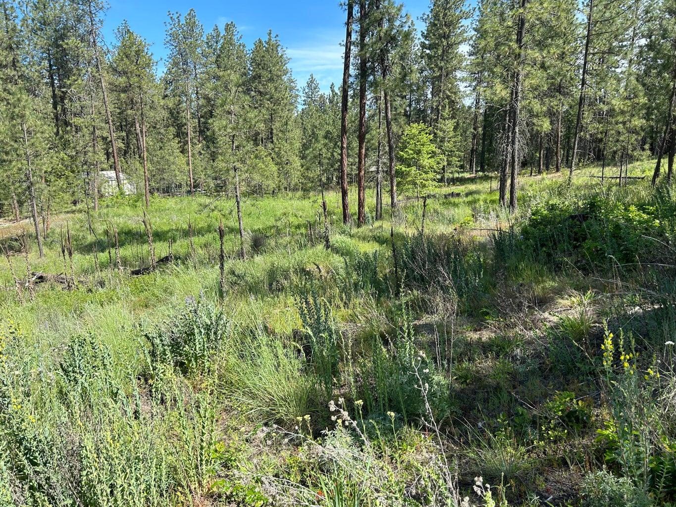 1181-1179 Fumi Cir - Photo 1