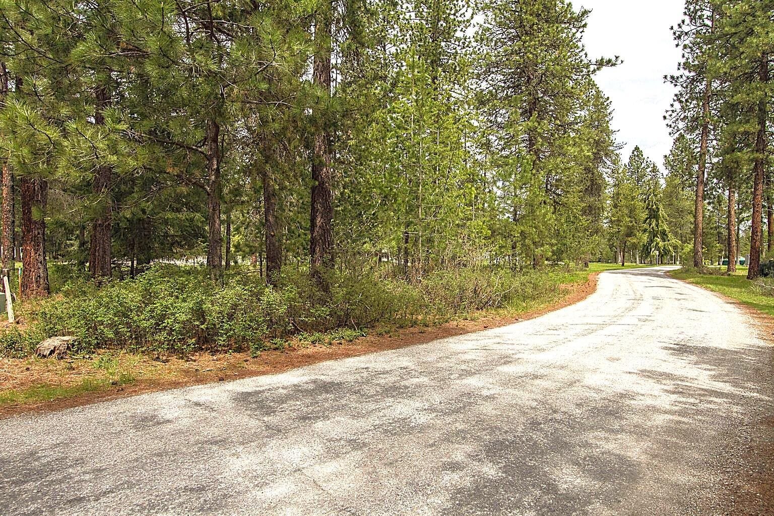 202 Eagle Dr - Photo 5