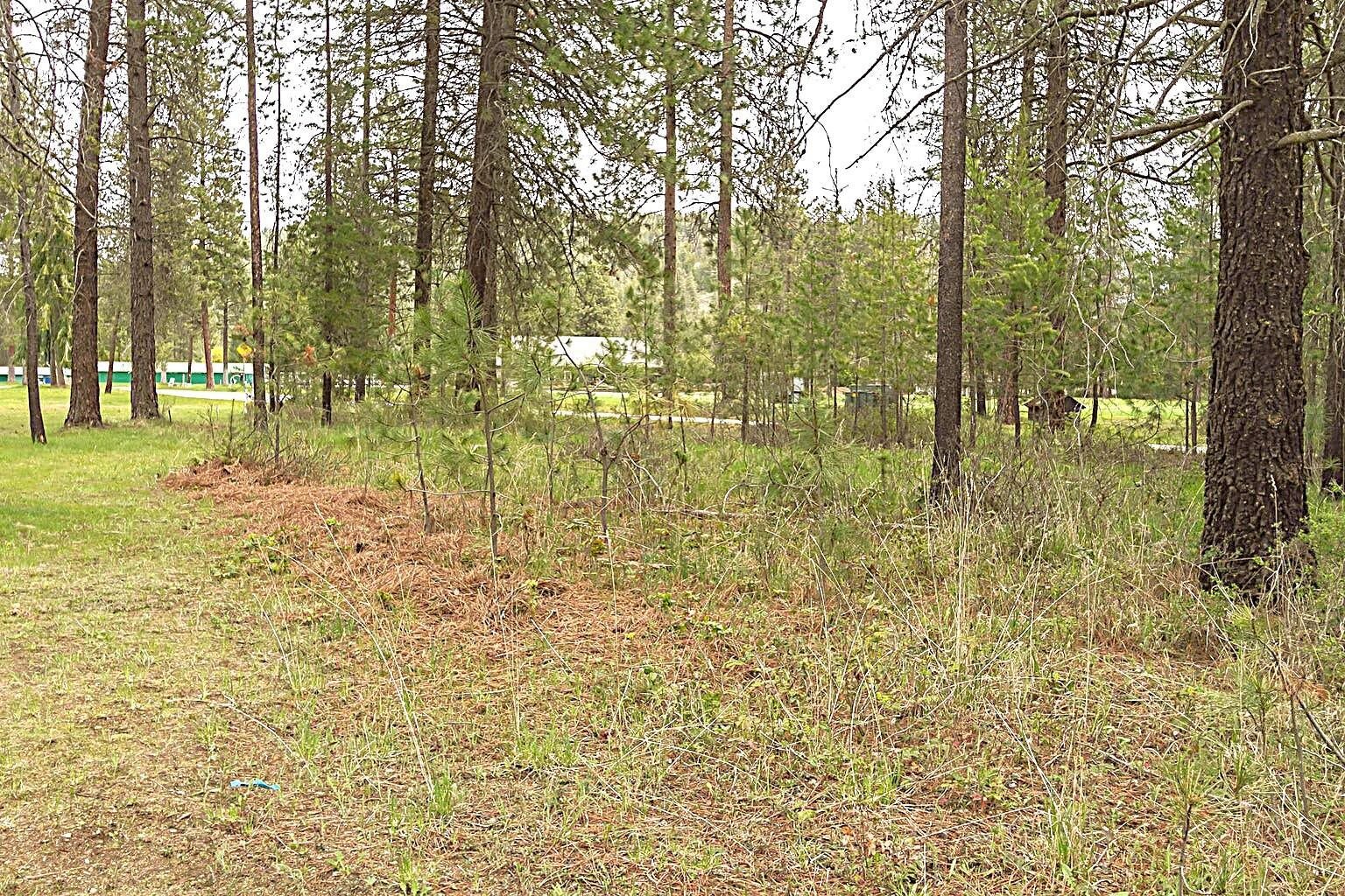 202 Eagle Dr - Photo 6
