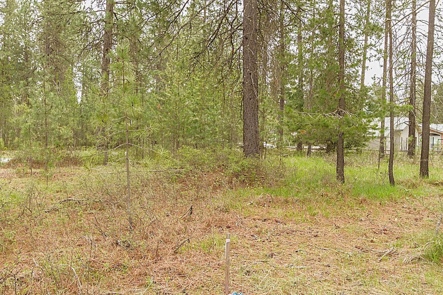 202 Eagle Dr - Photo 7