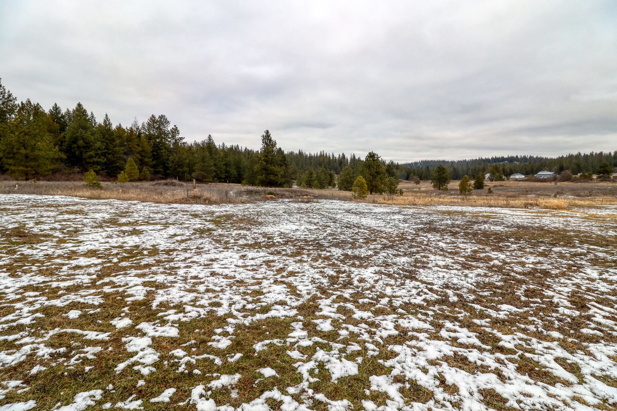 27601 N Scotts Ridge Ln - Photo 36