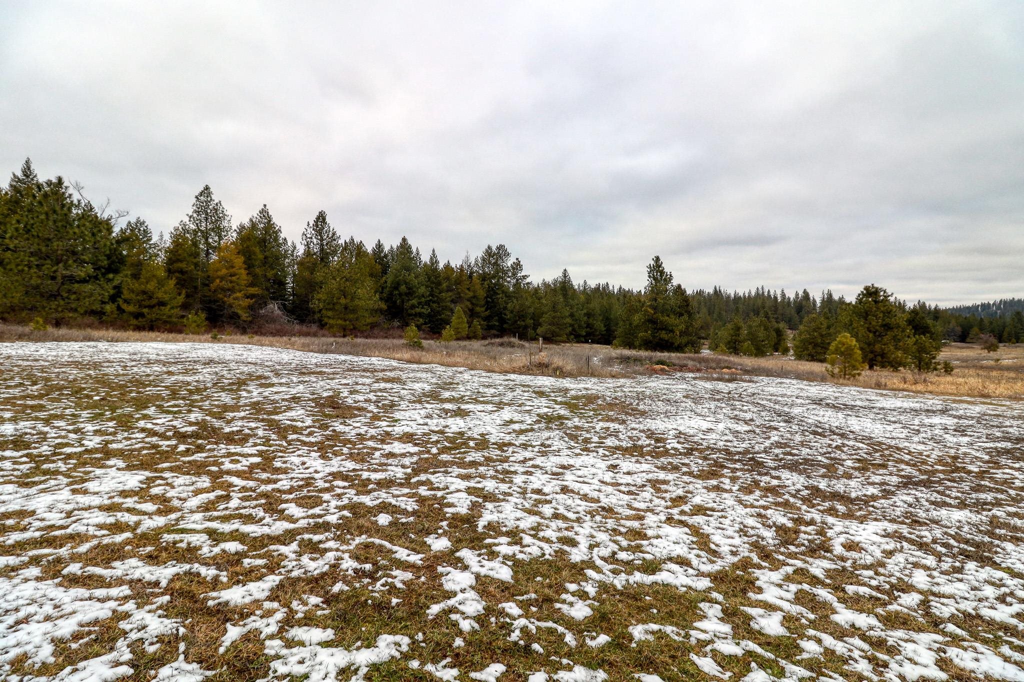27601 N Scotts Ridge Ln - Photo 37