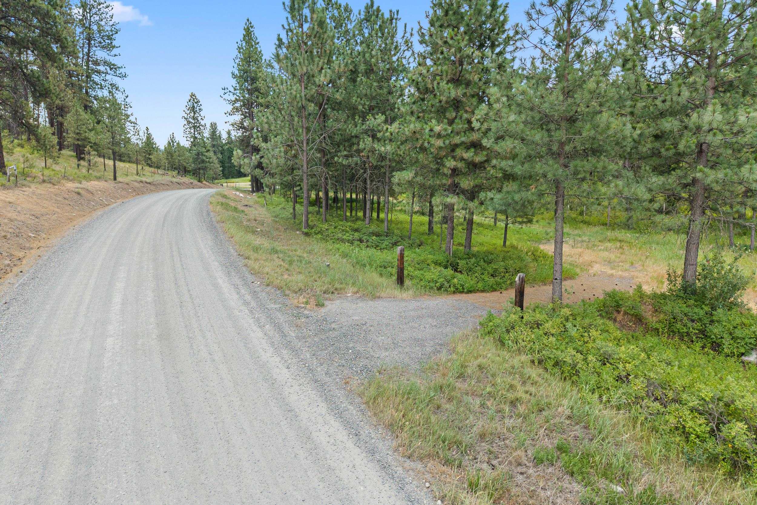 770 Mahoney Rd - Photo 3