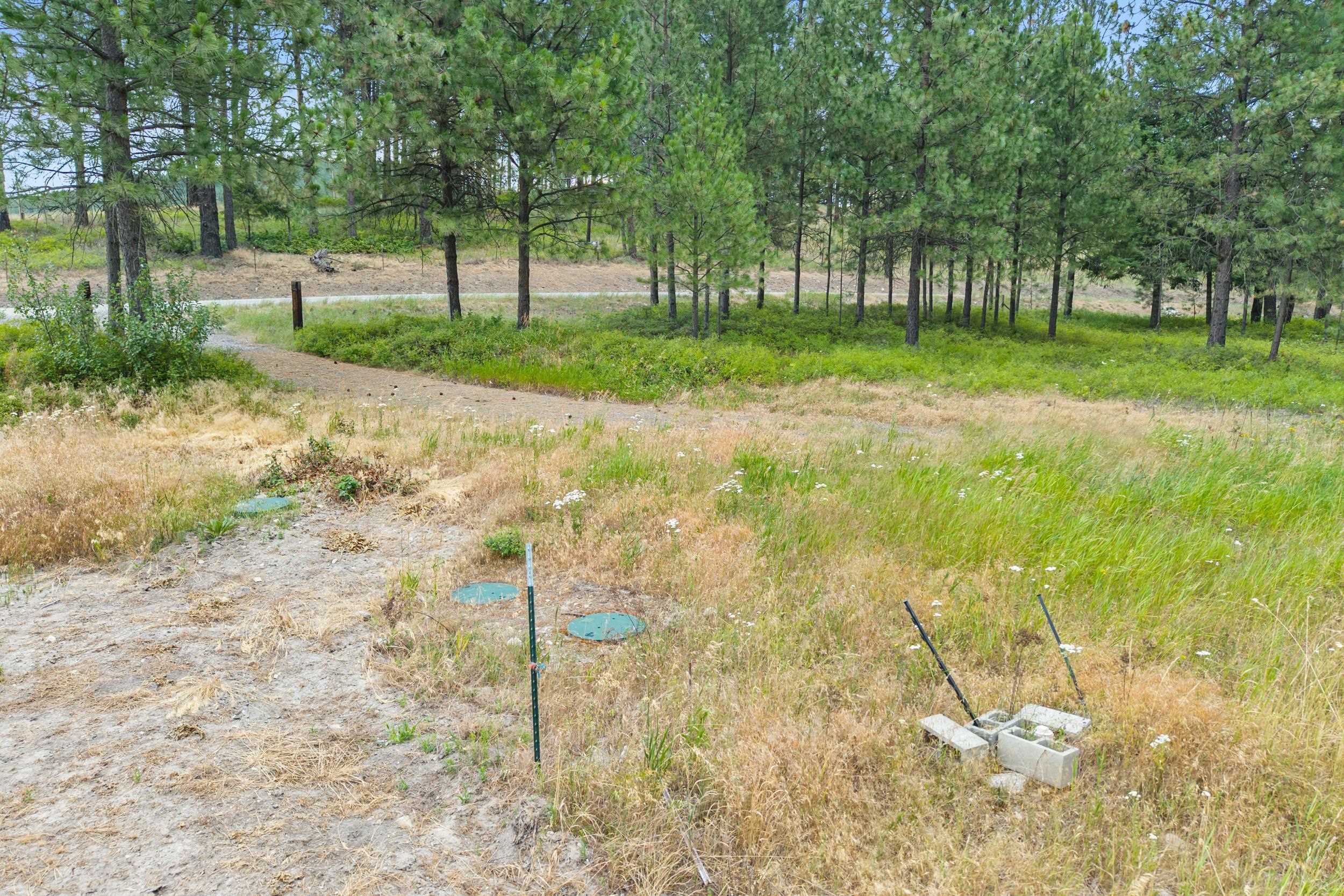 770 Mahoney Rd - Photo 4