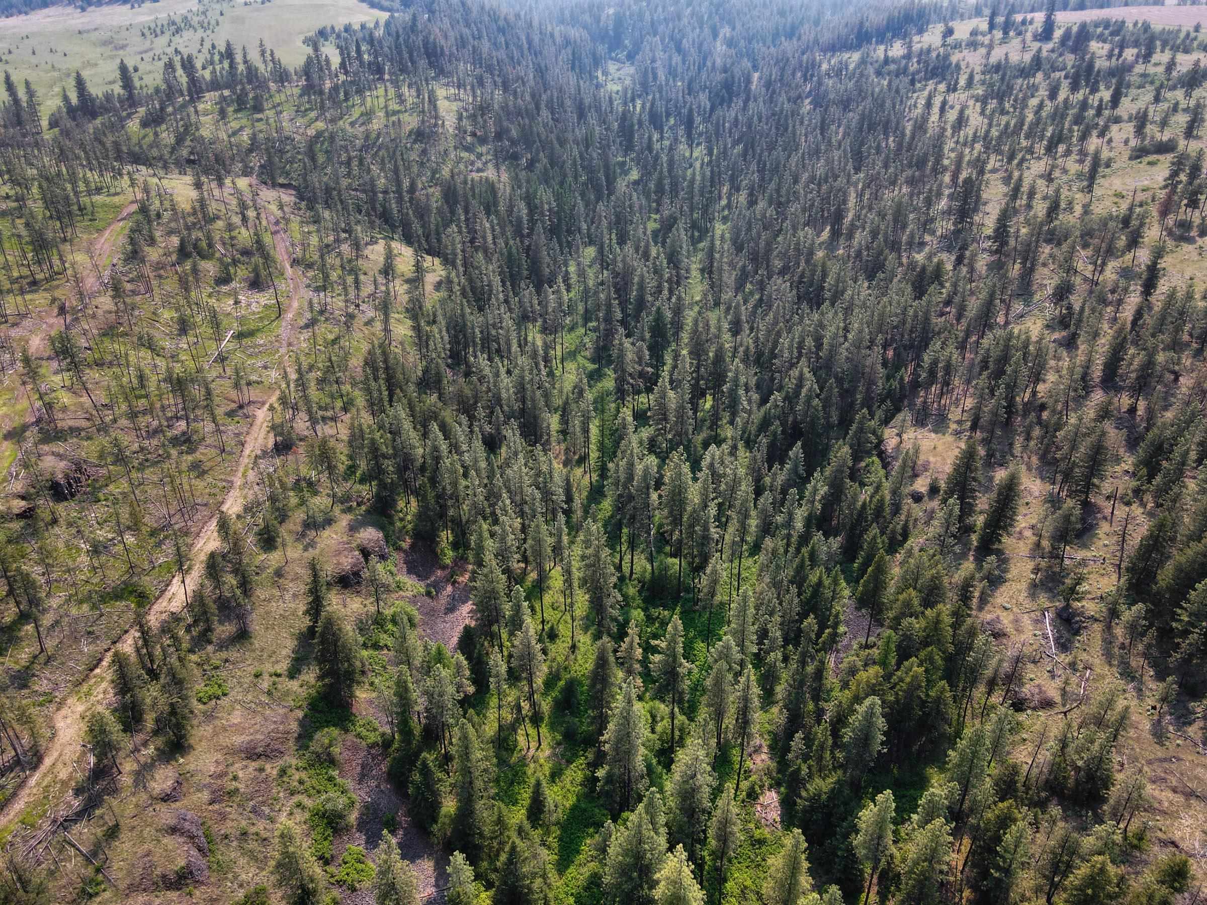 45XXX Devore Rd - Photo 18