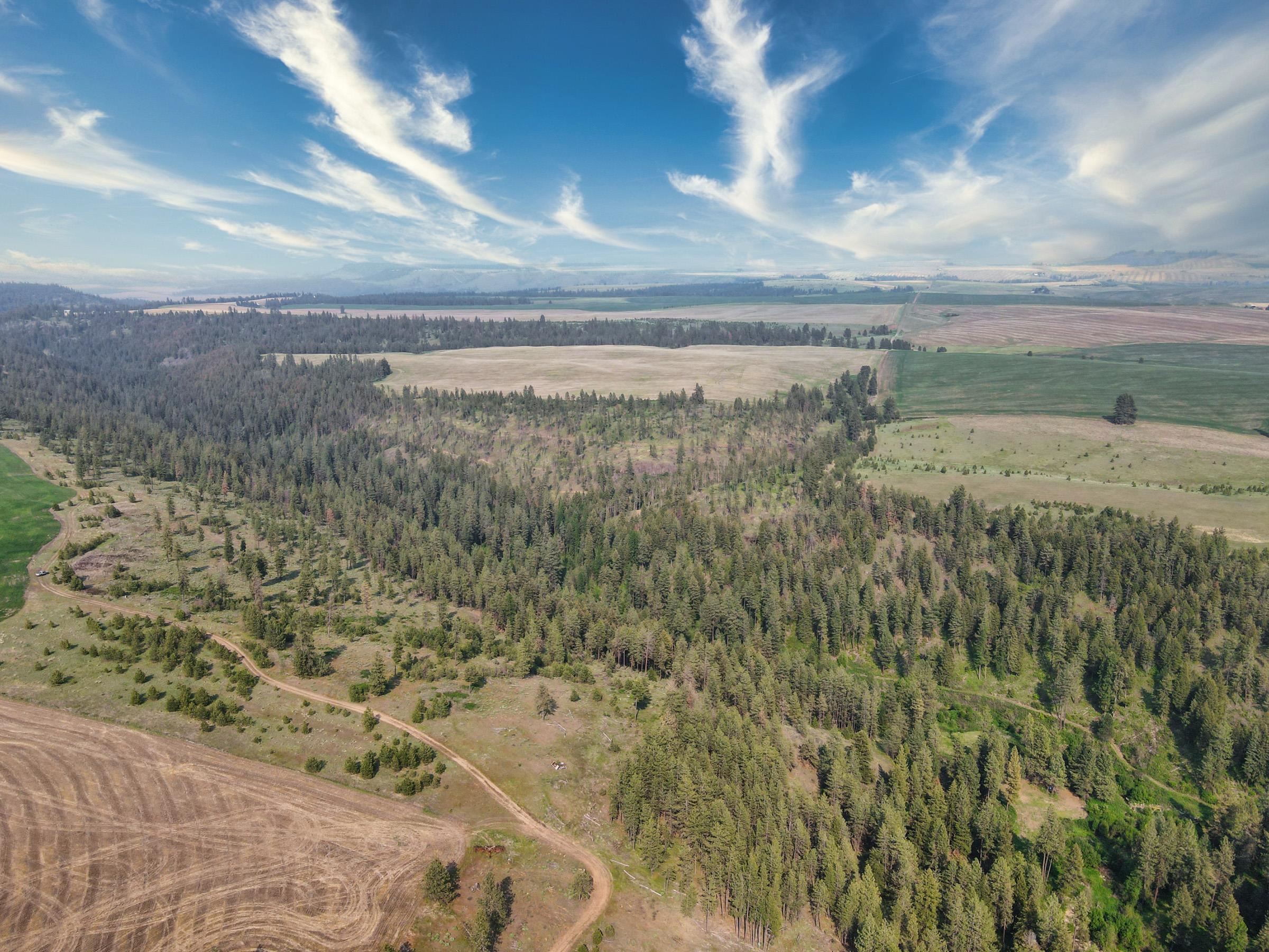 45XXX Devore Rd - Photo 48