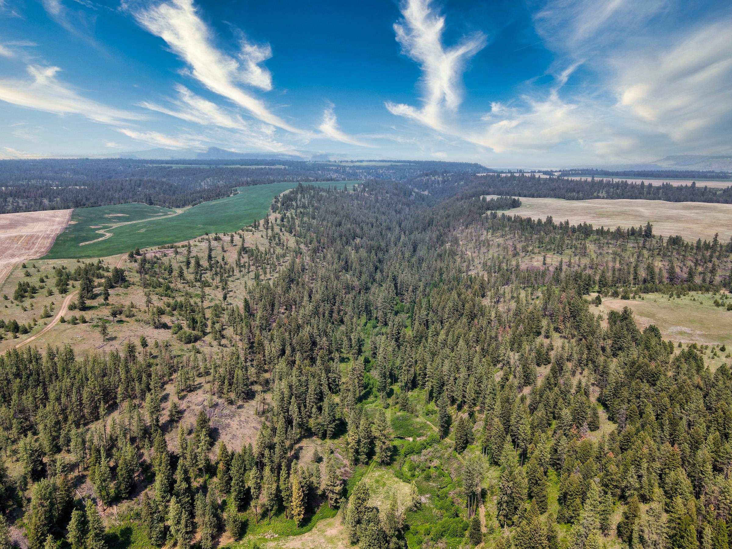 45XXX Devore Rd - Photo 8