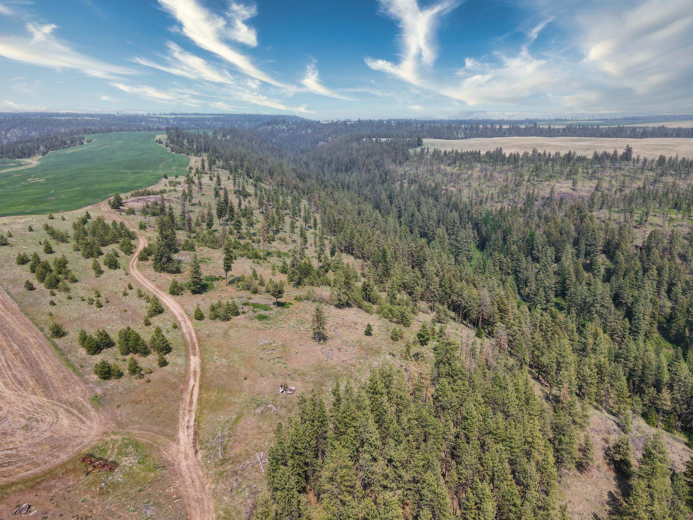45XXX Devore Rd - Photo 9