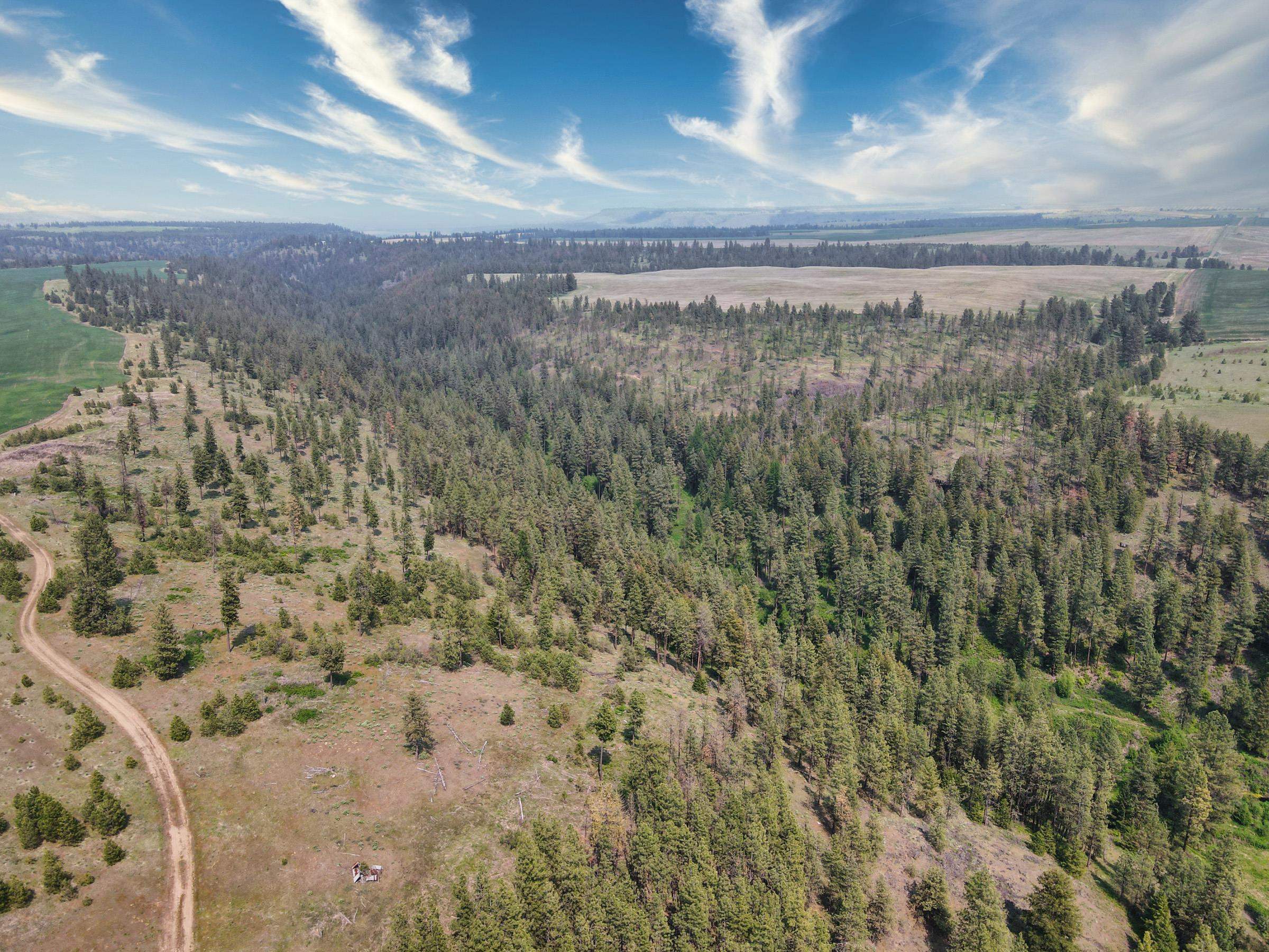 45XXX Devore Rd - Photo 10