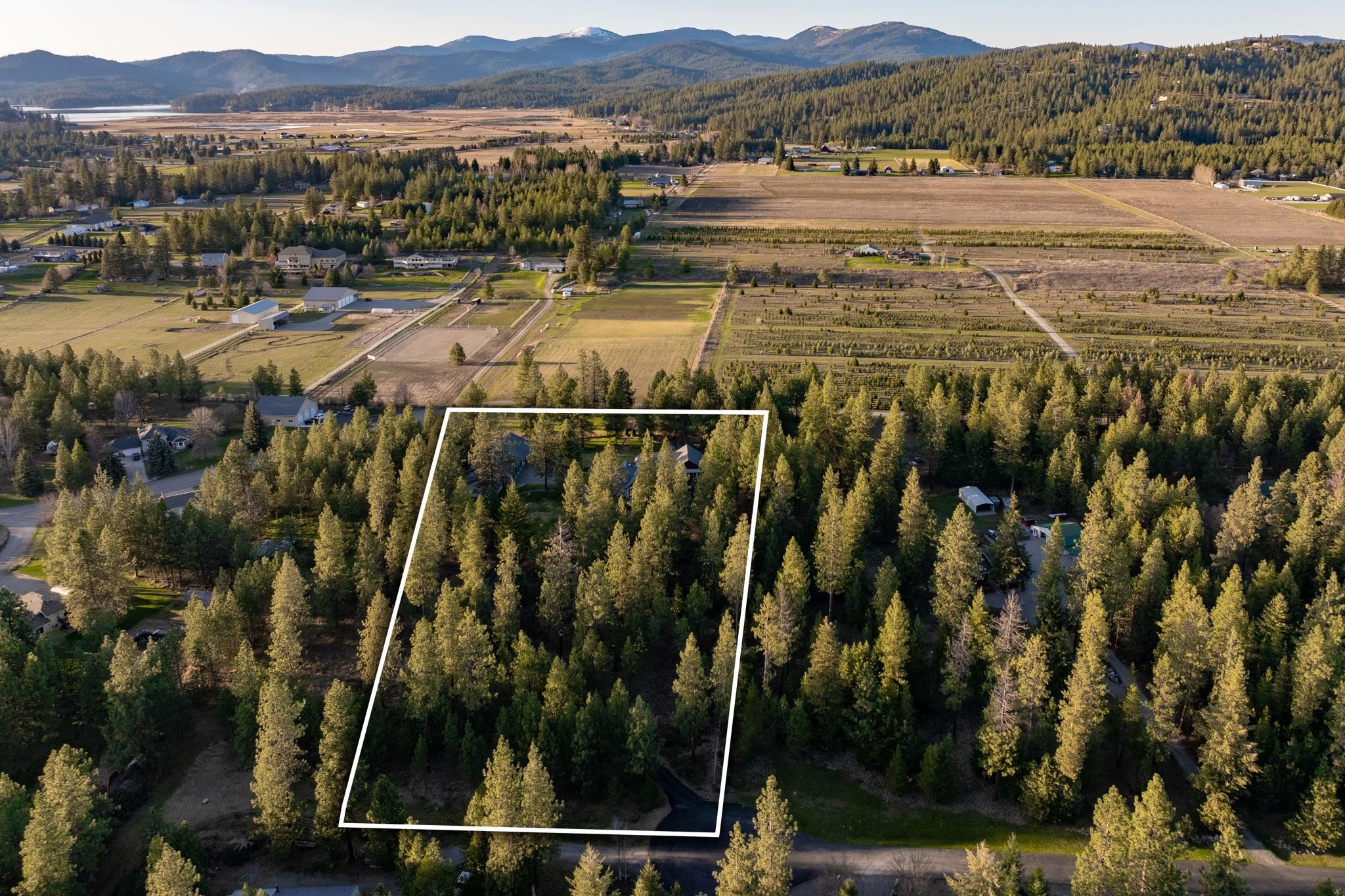 25929 E Idaho Pines Ln - Photo 36