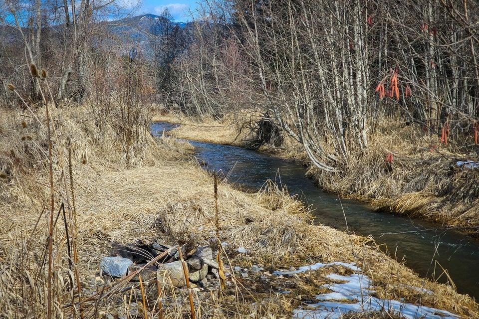 TBD Addy- Gifford Rd - Photo 8