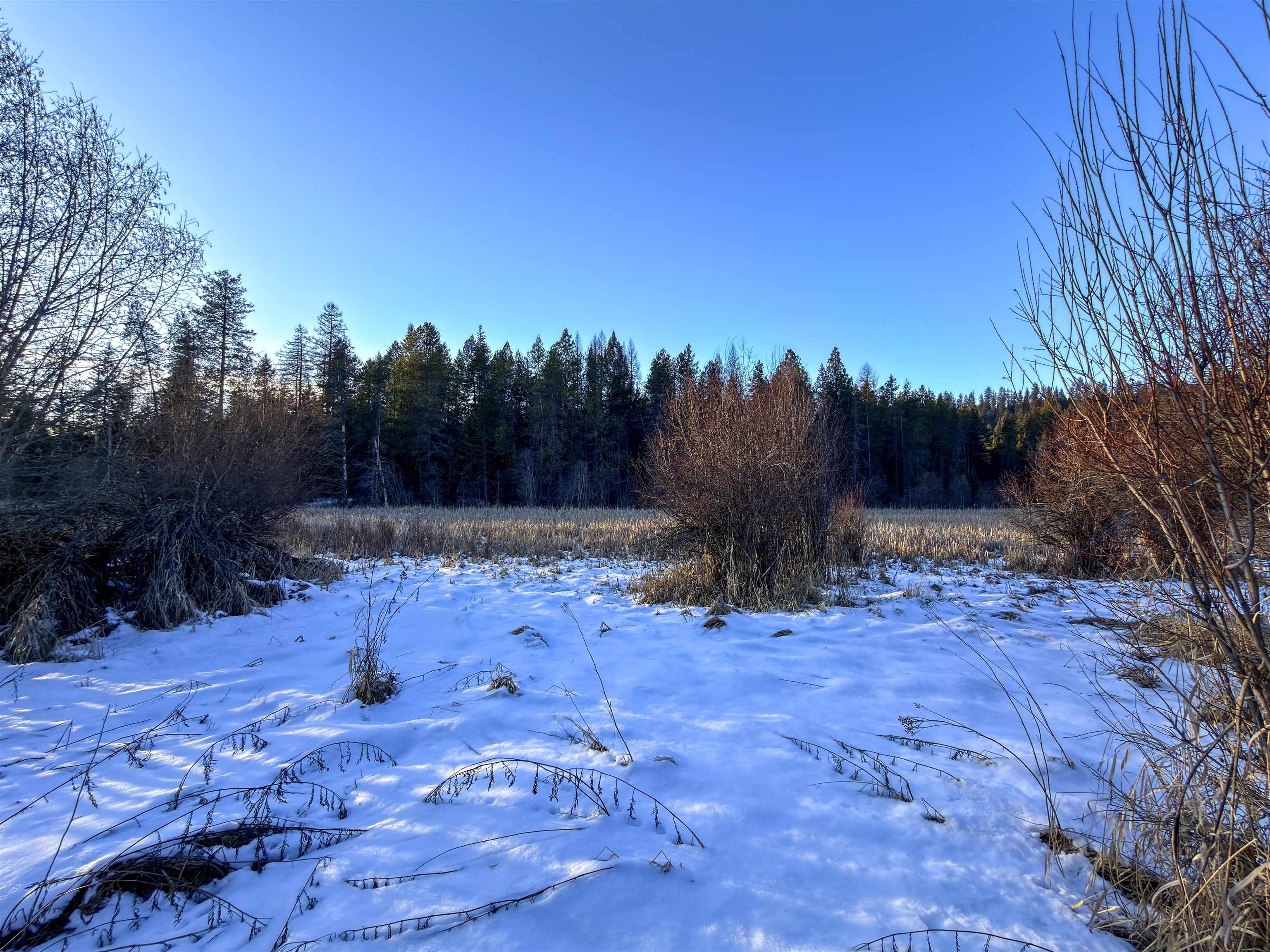 331861 2 Hwy - Photo 2
