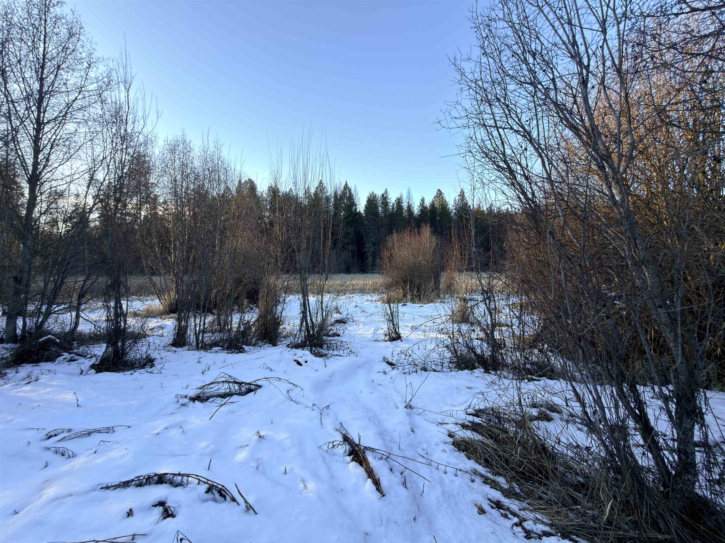 331861 2 Hwy - Photo 3