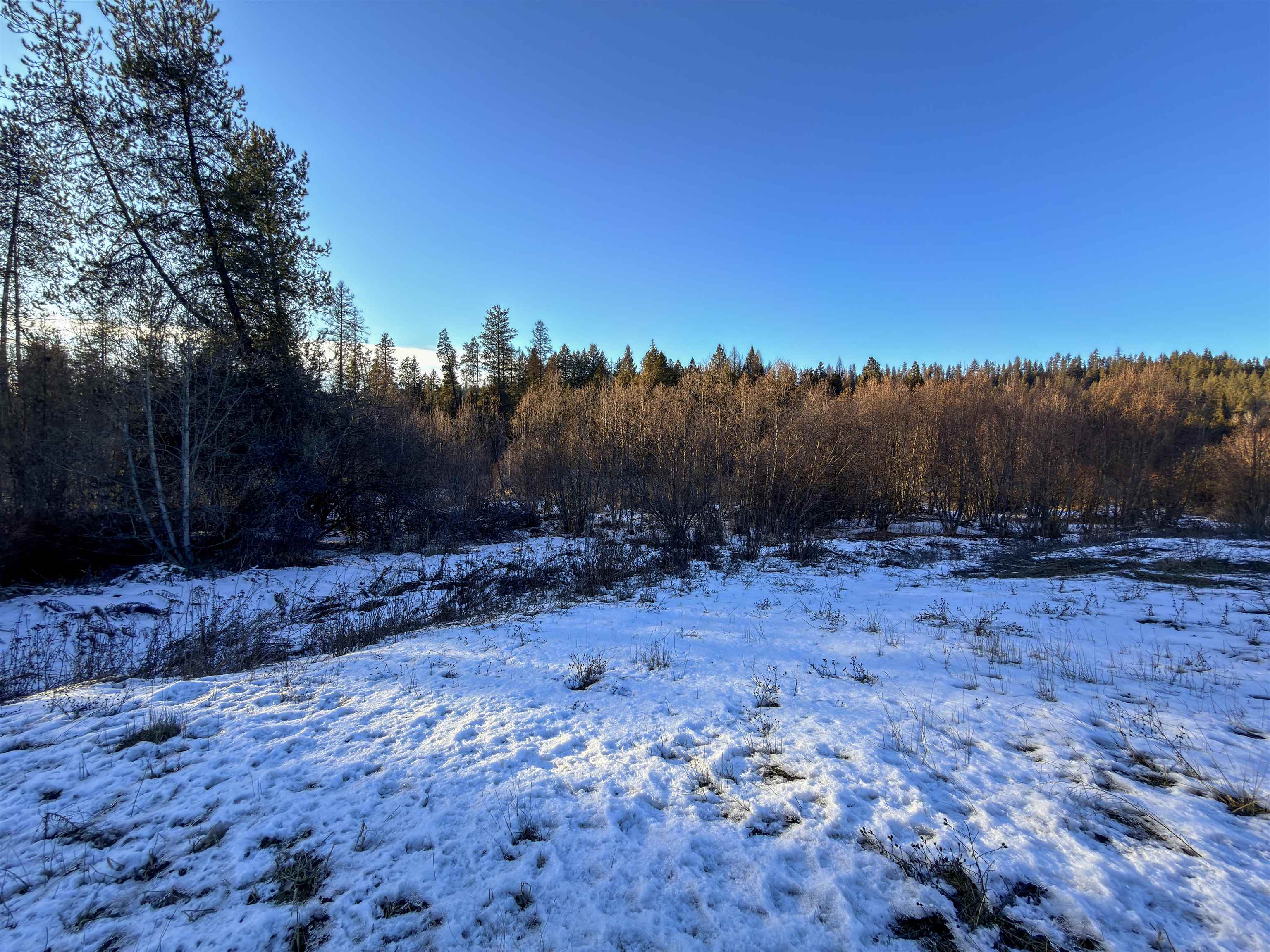331861 2 Hwy - Photo 4