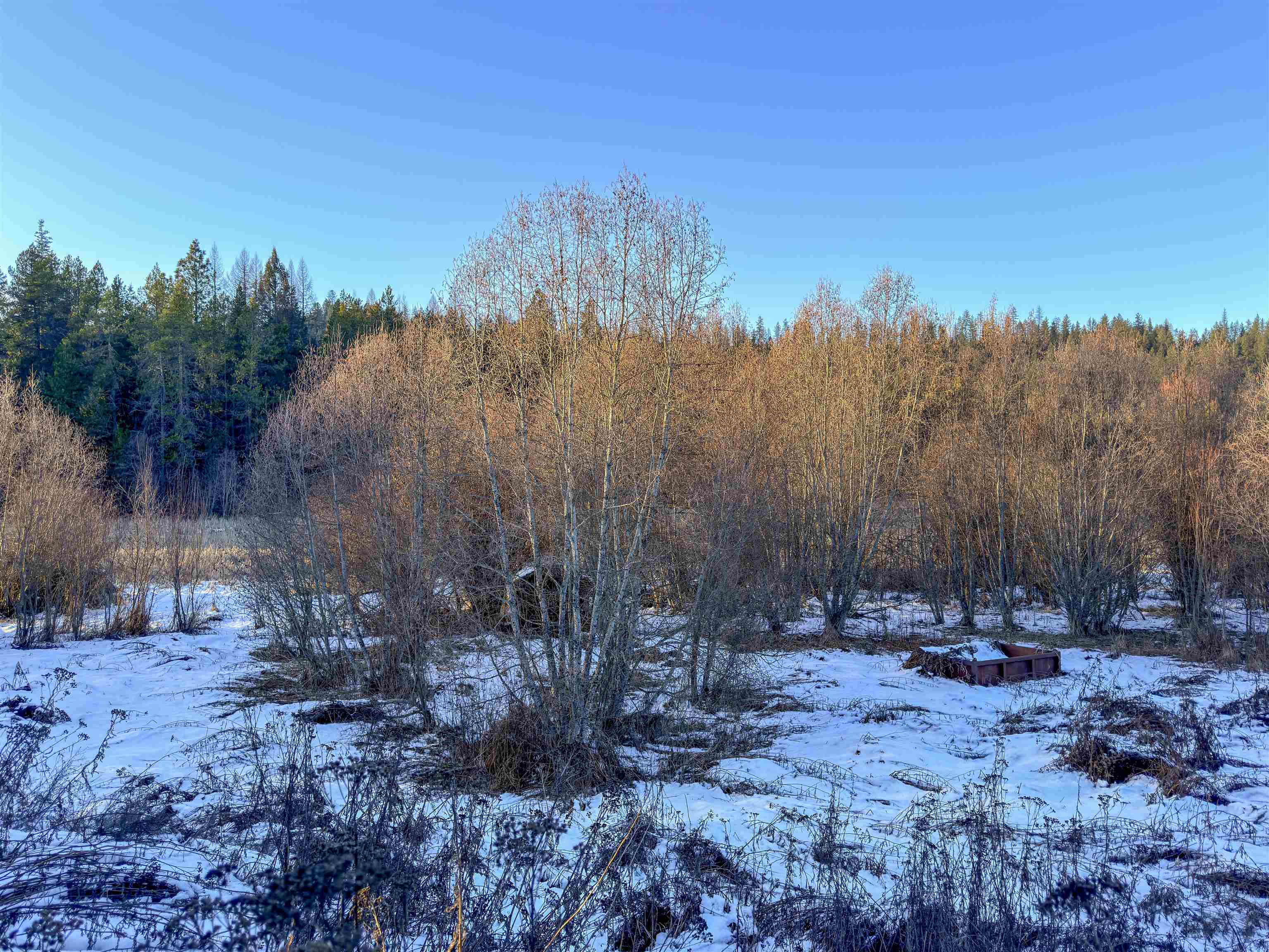 331861 2 Hwy - Photo 6