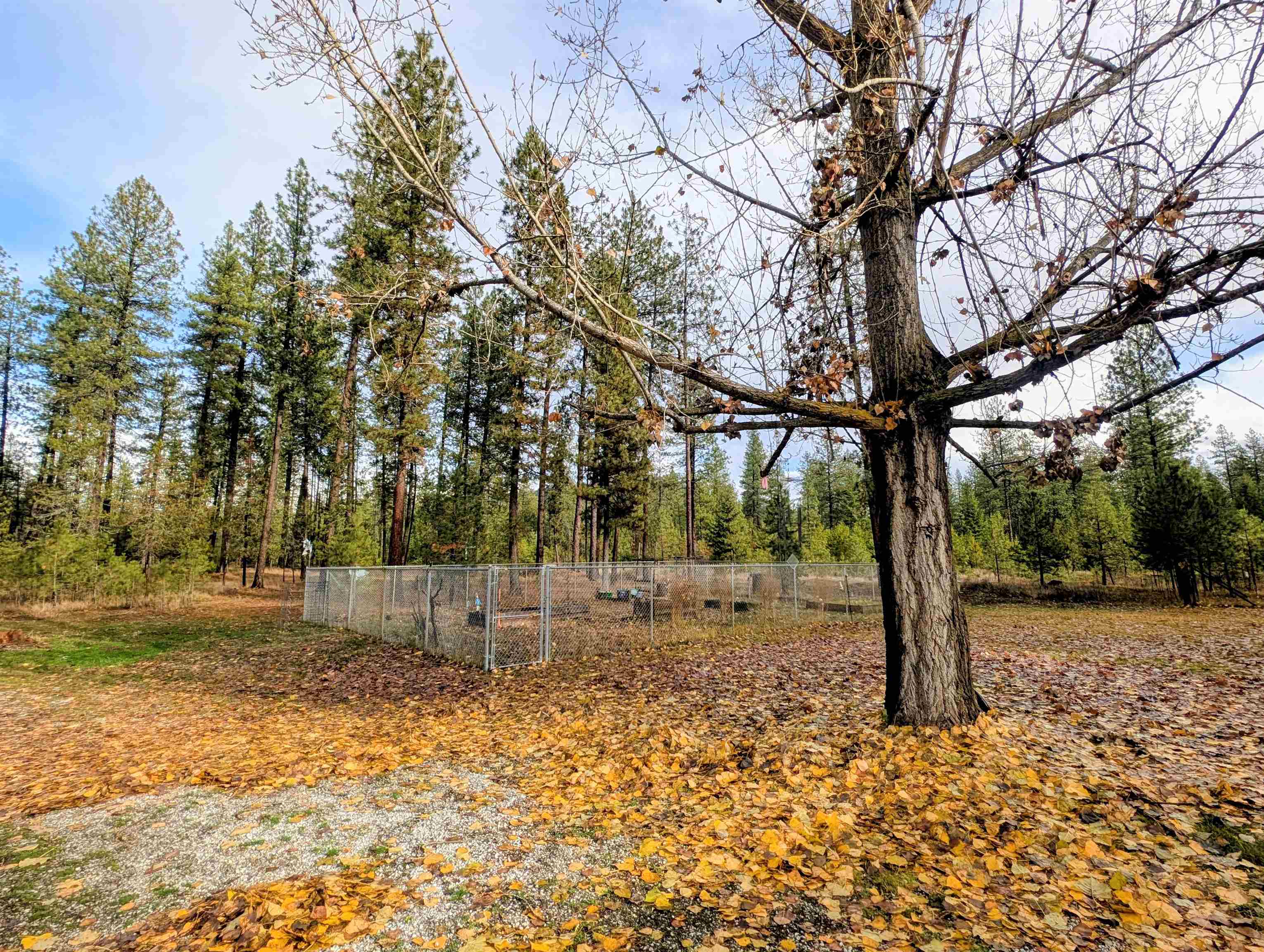 4040 Lyon Moss Rd - Photo 25