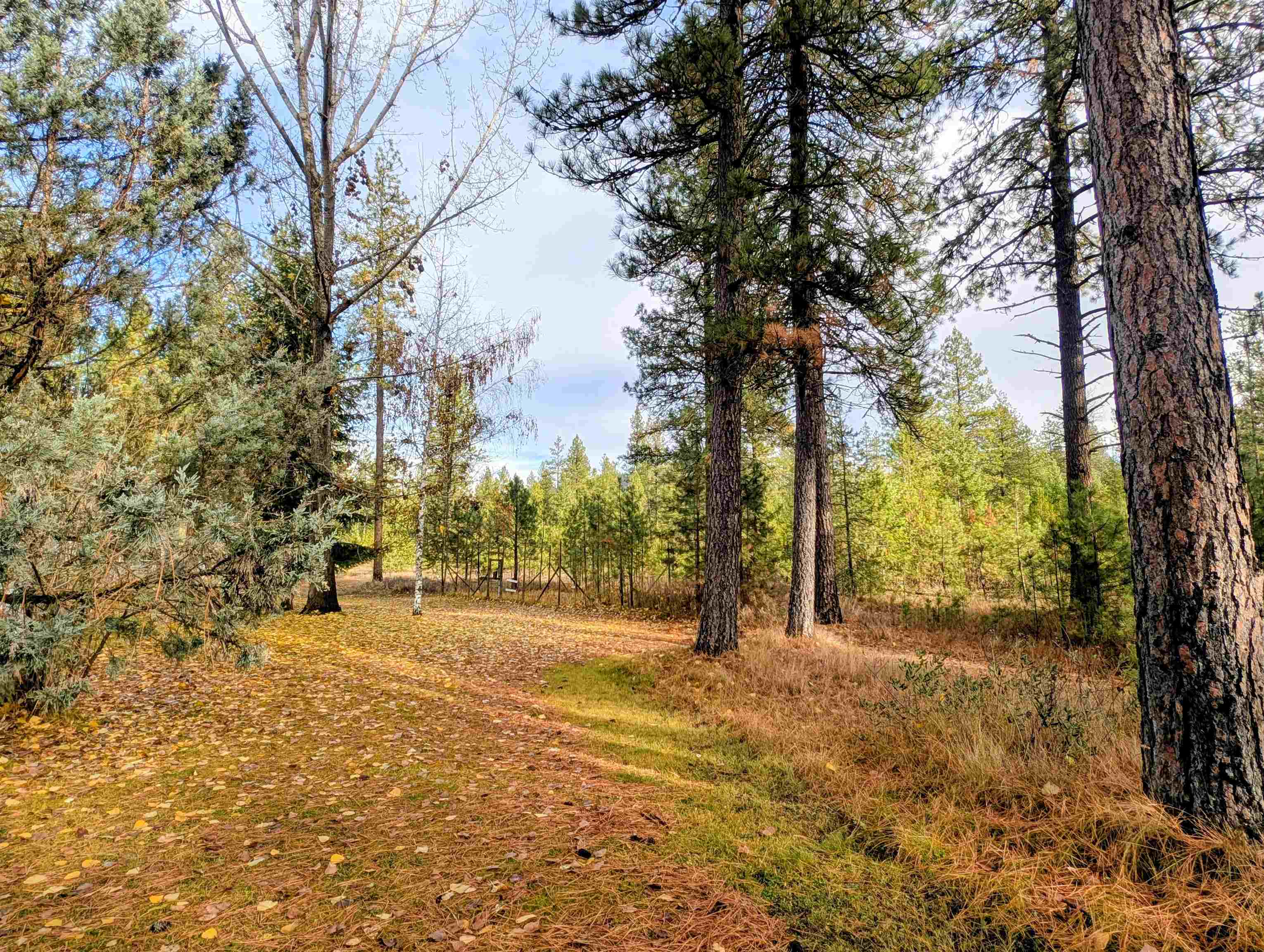 4040 Lyon Moss Rd - Photo 4