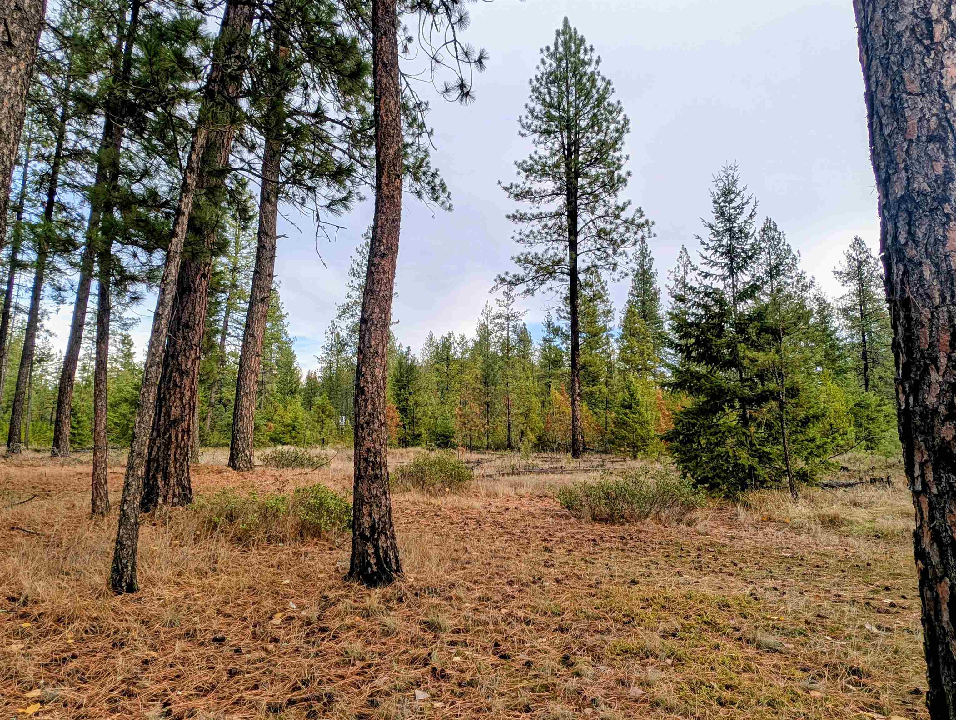 4040 Lyon Moss Rd - Photo 41
