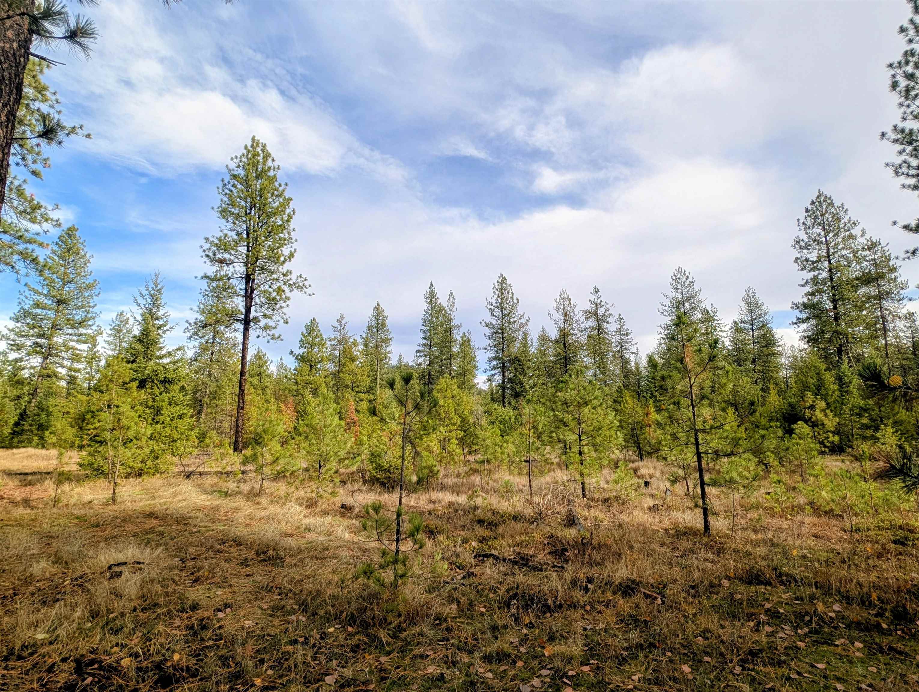 4040 Lyon Moss Rd - Photo 44