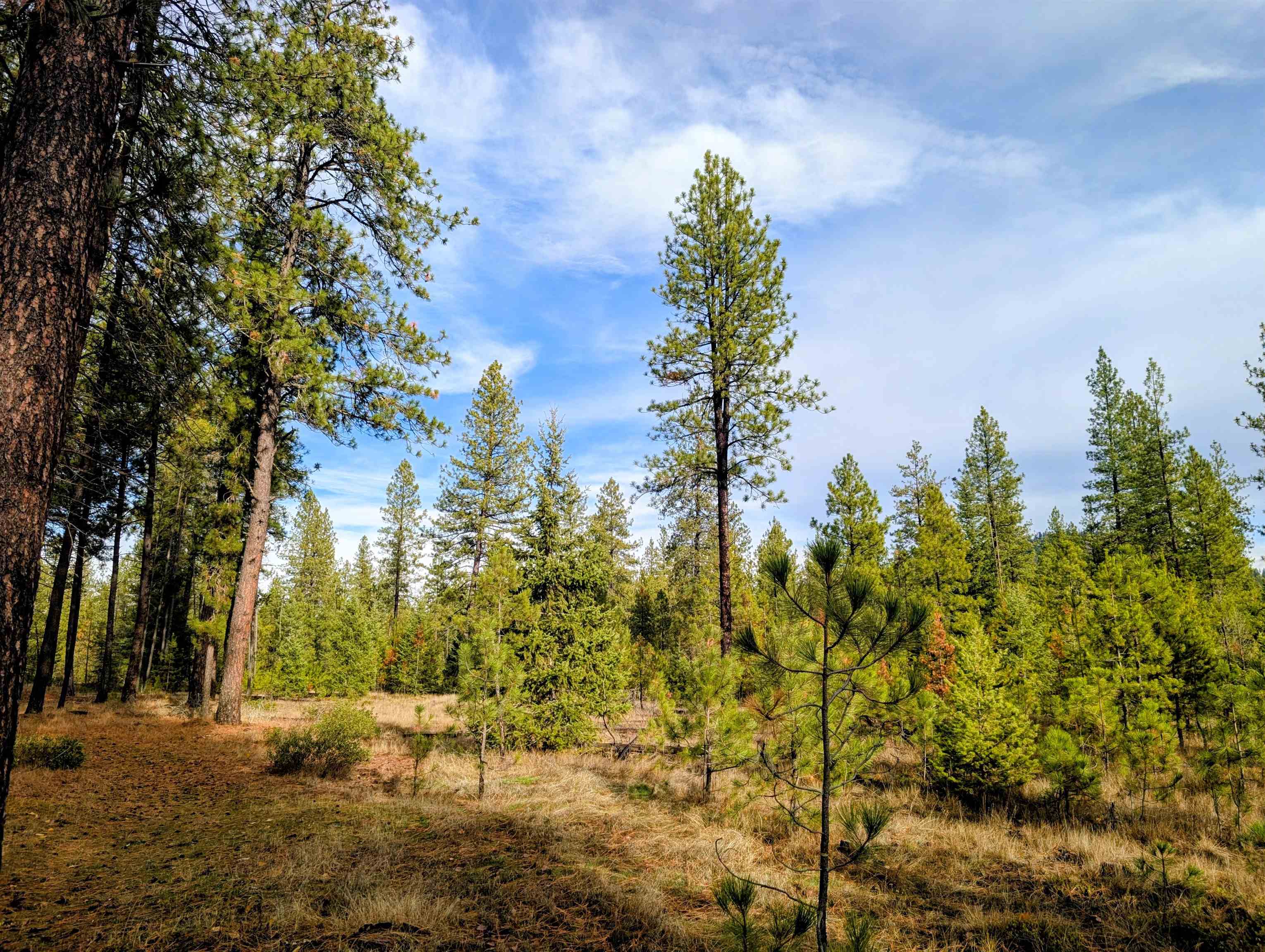 4040 Lyon Moss Rd - Photo 45