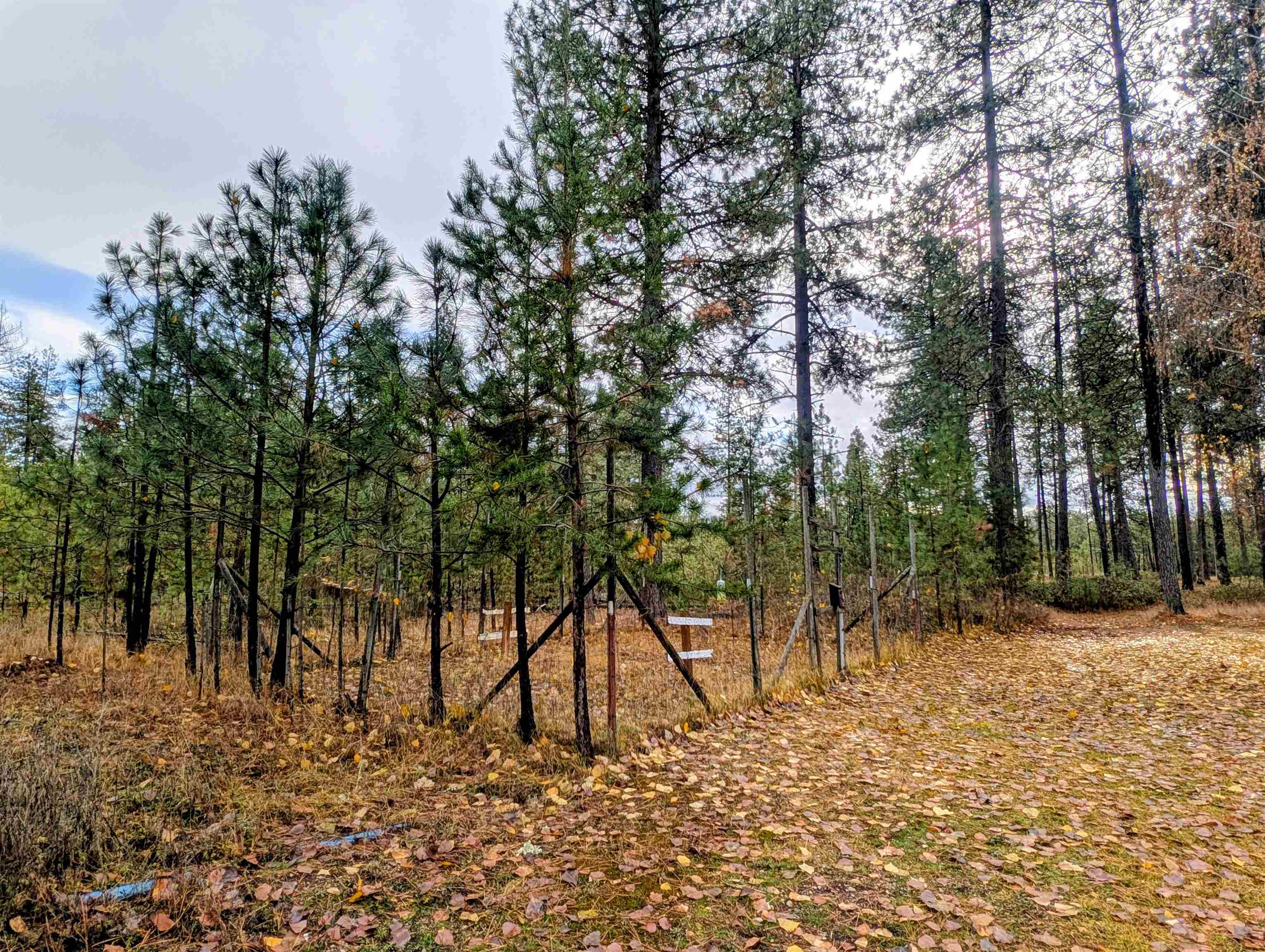 4040 Lyon Moss Rd - Photo 48