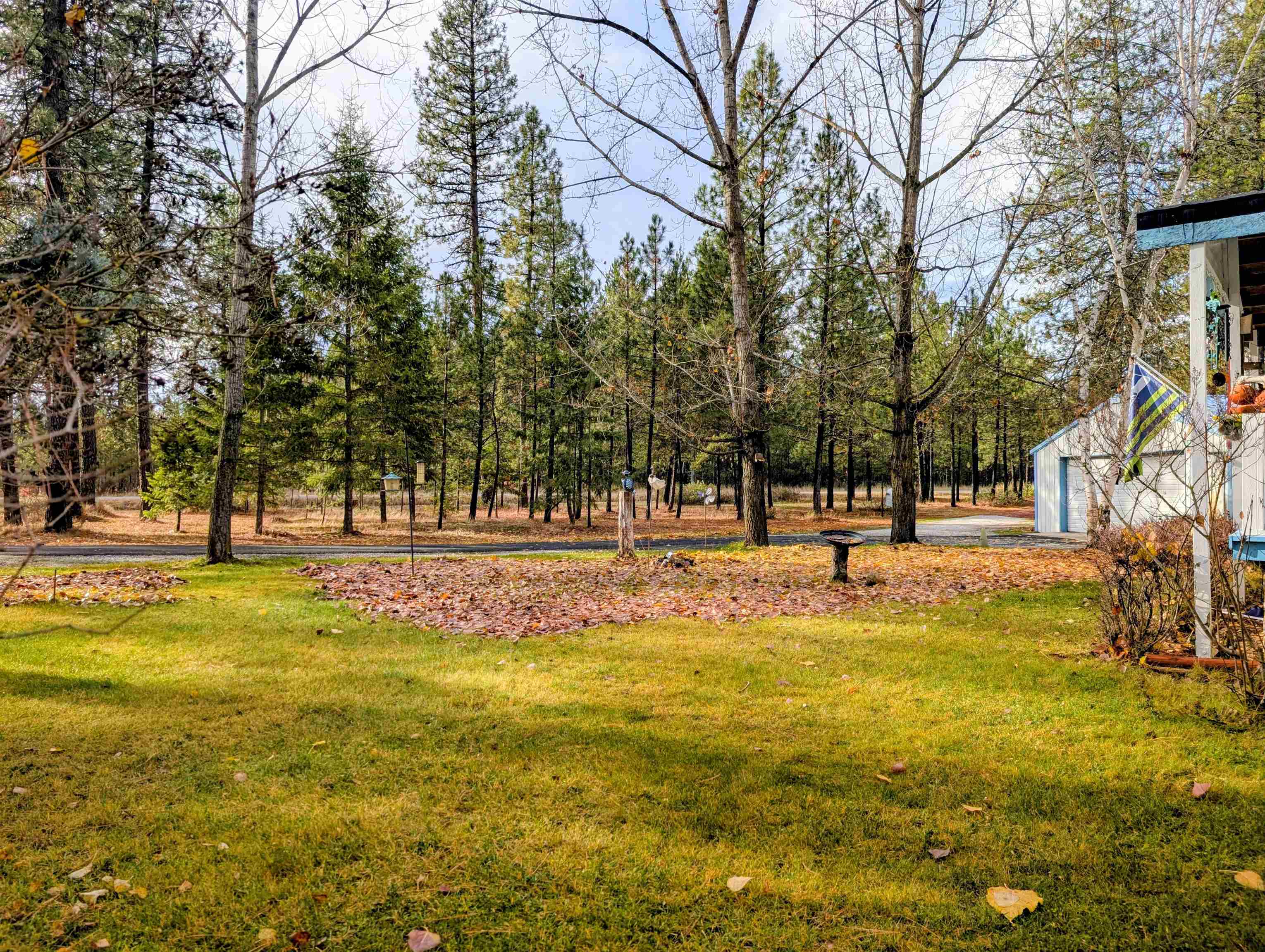 4040 Lyon Moss Rd - Photo 49