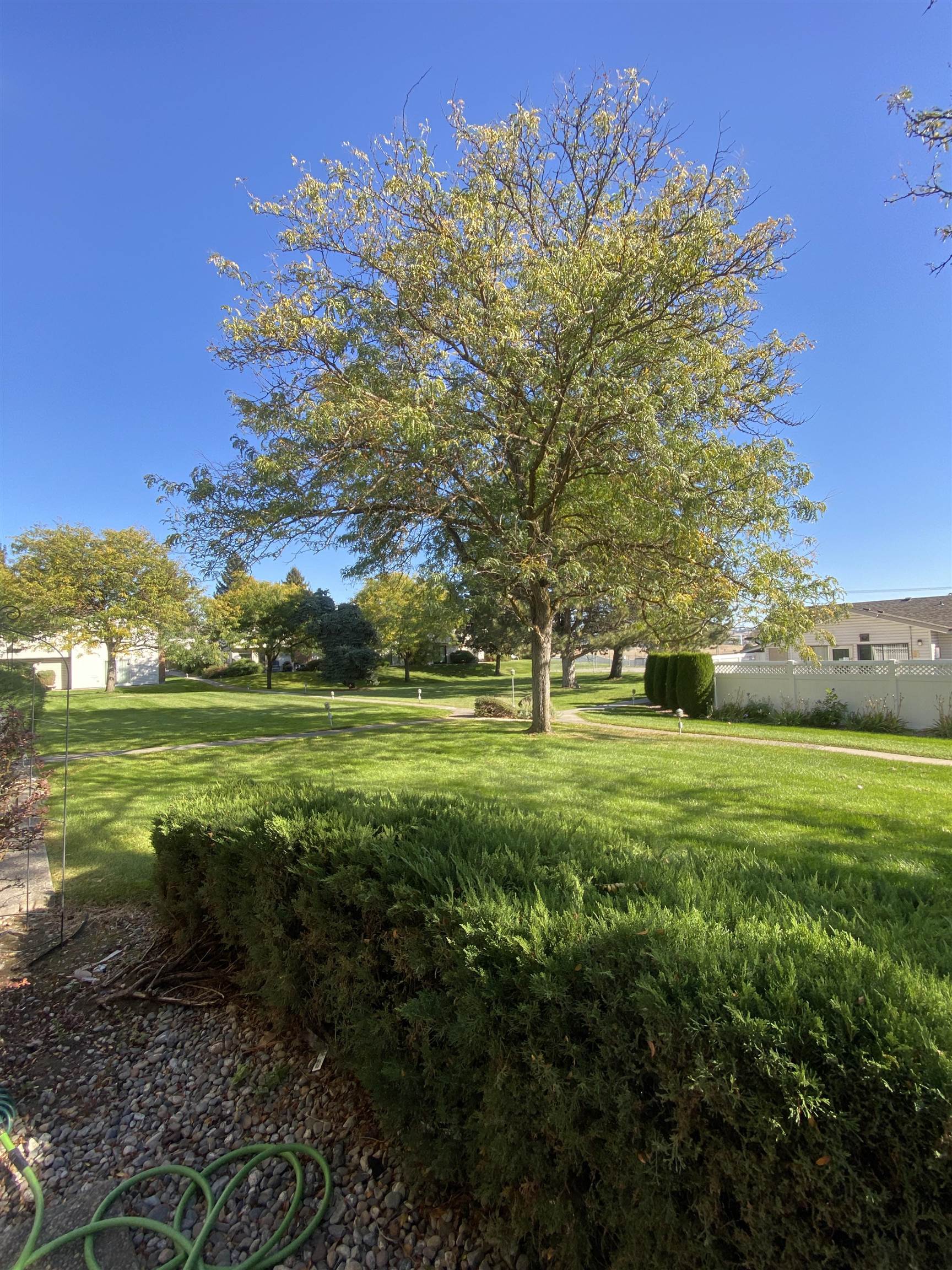 7878 N Wilding Dr - Photo 16