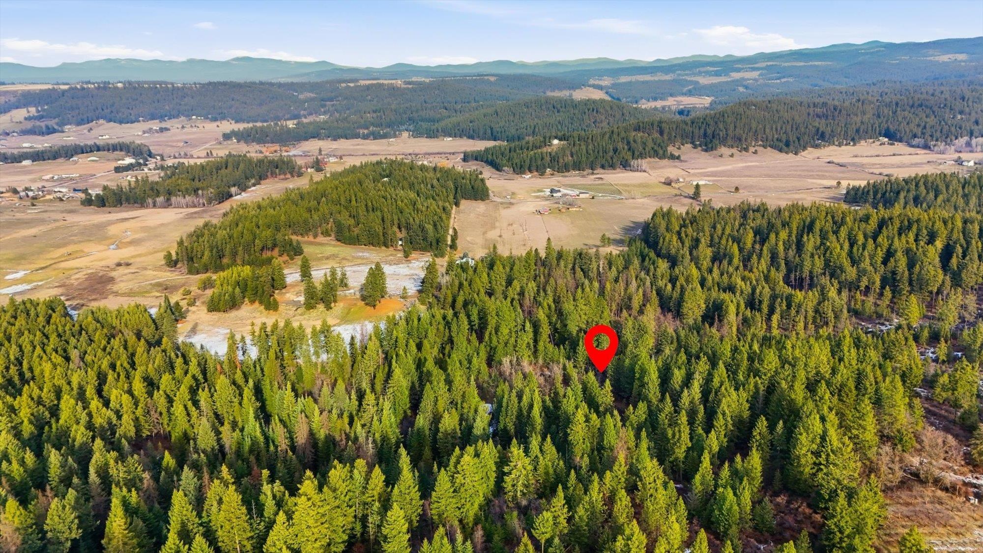 XXXX N Wildcat Ridge - Photo 13