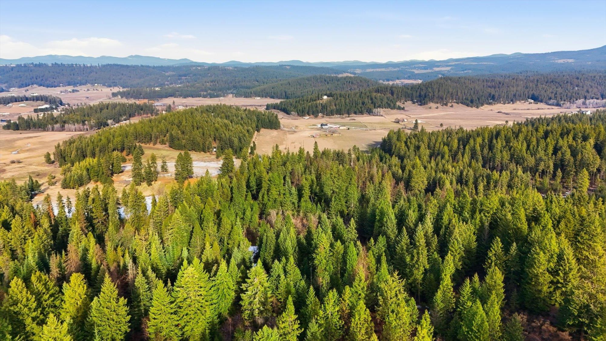 XXXX N Wildcat Ridge - Photo 16