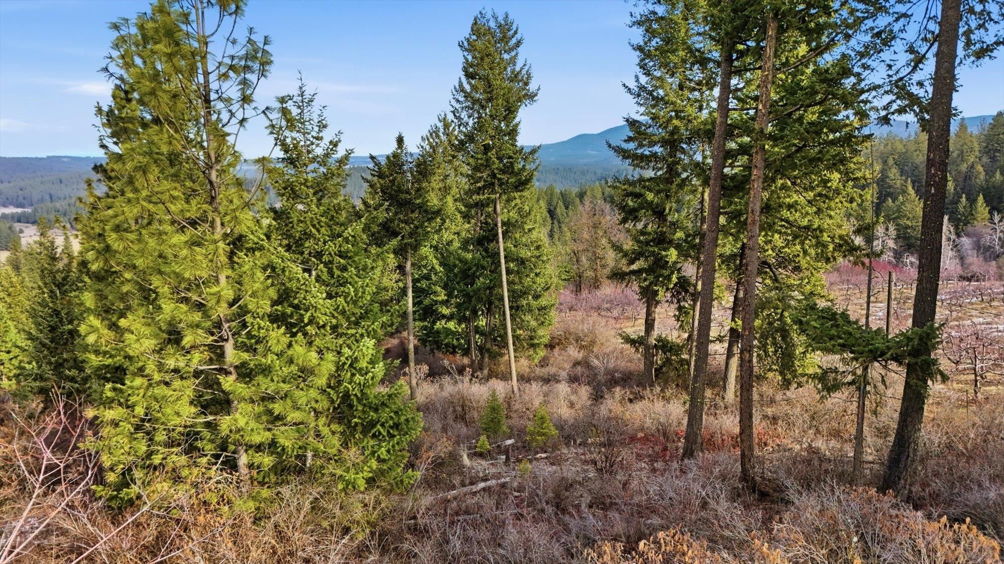 XXXX N Wildcat Ridge - Photo 17