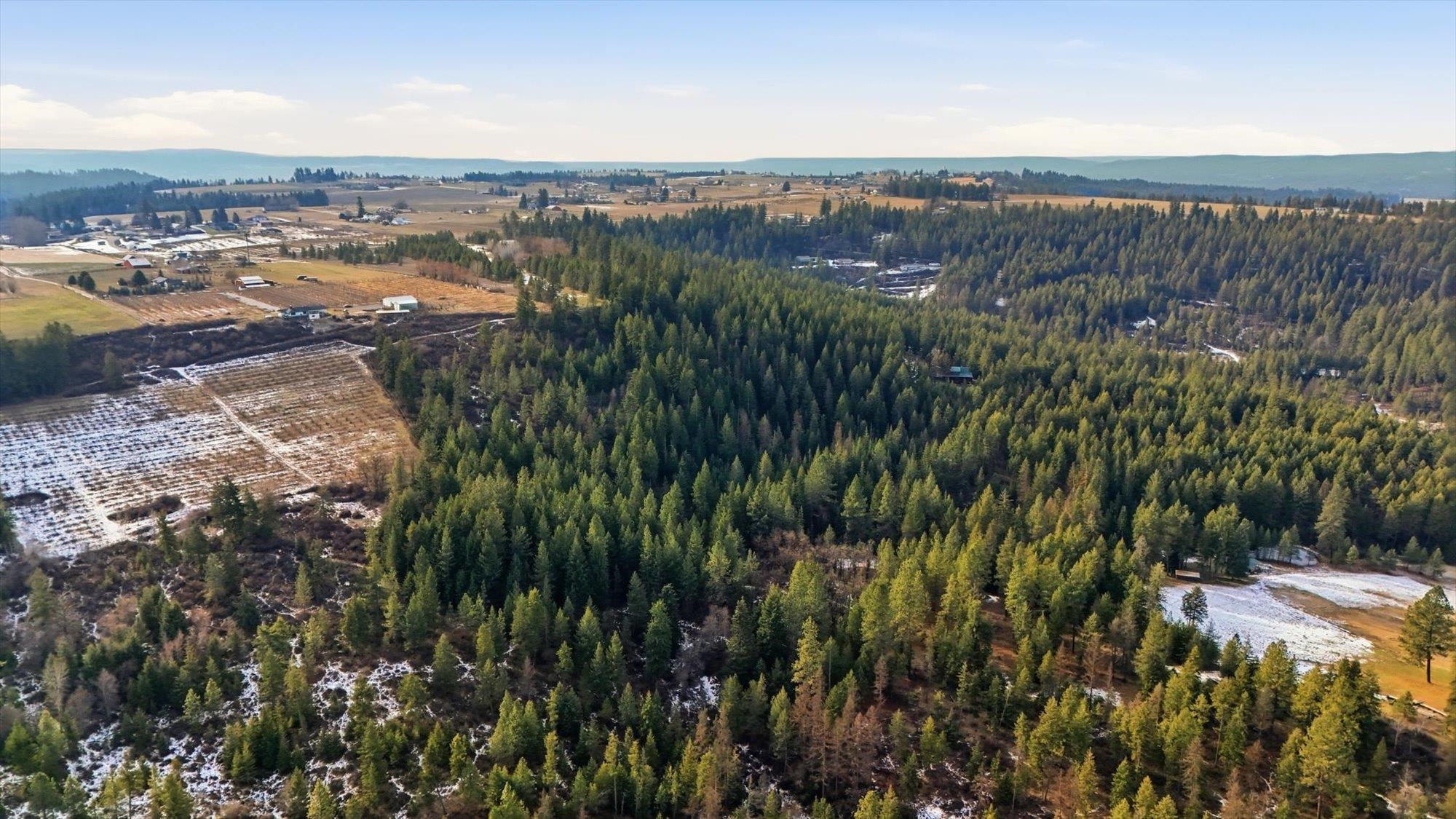 XXXX N Wildcat Ridge - Photo 4