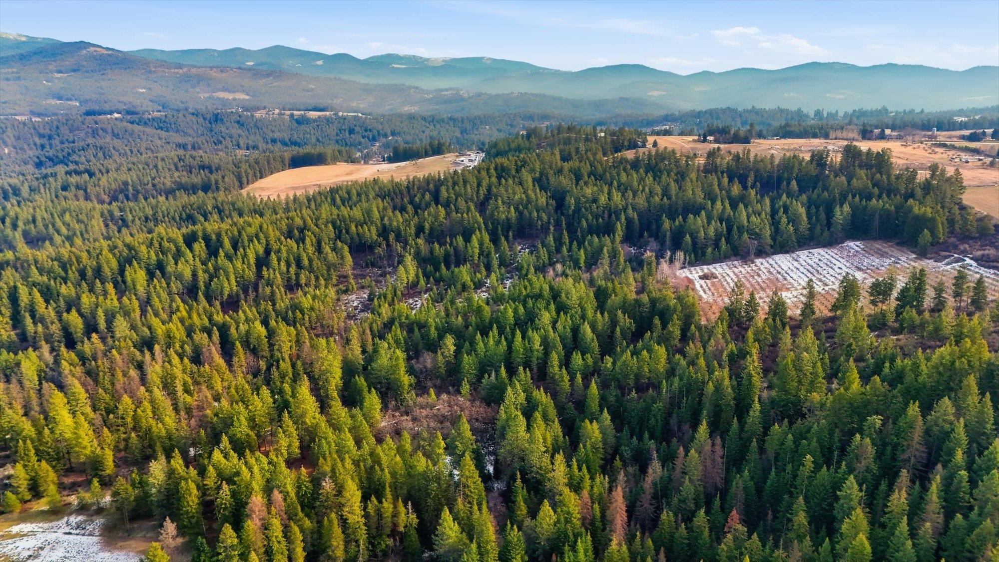 XXXX N Wildcat Ridge - Photo 10