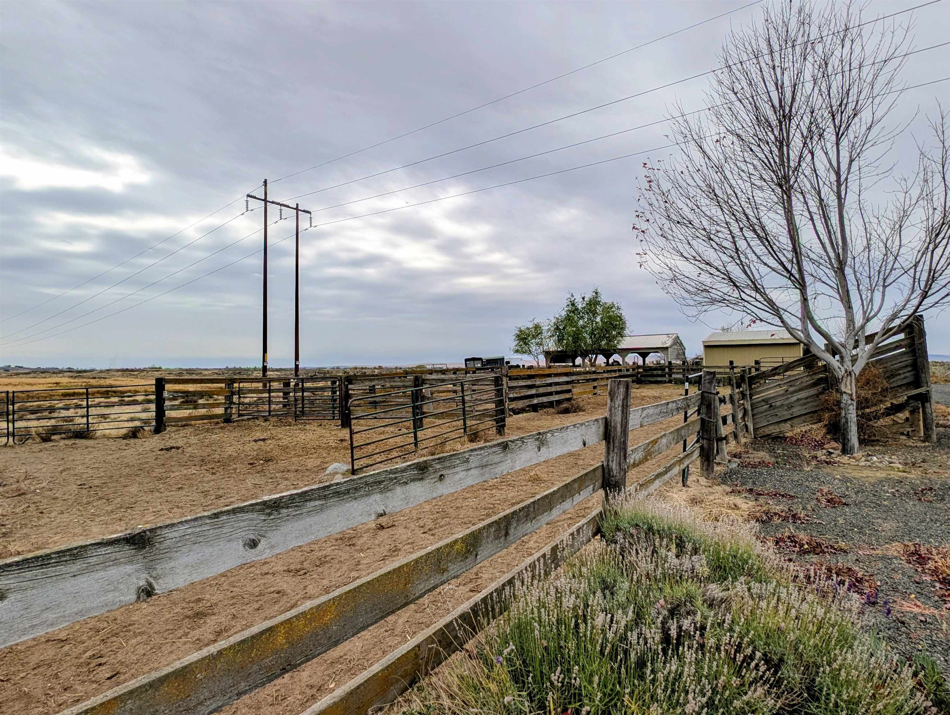 2175 W McManamon Rd - Photo 43