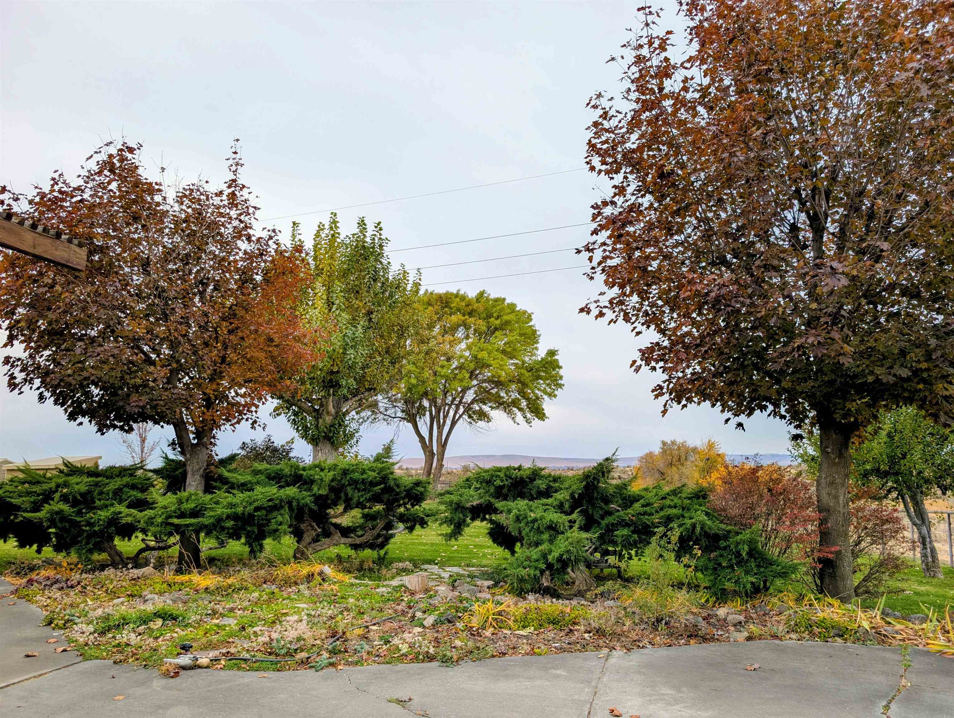 2175 W McManamon Rd - Photo 46