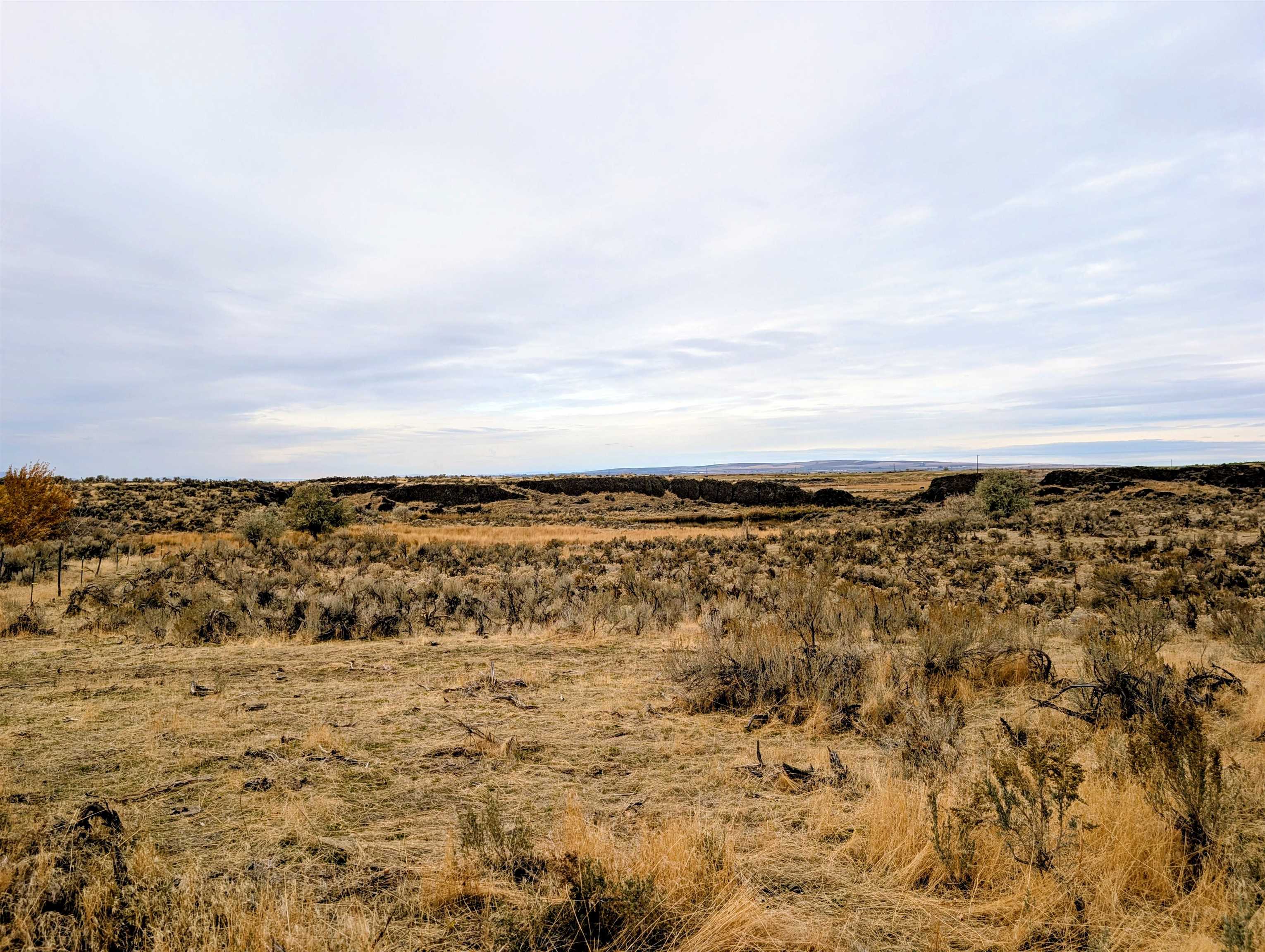 2175 W McManamon Rd - Photo 47