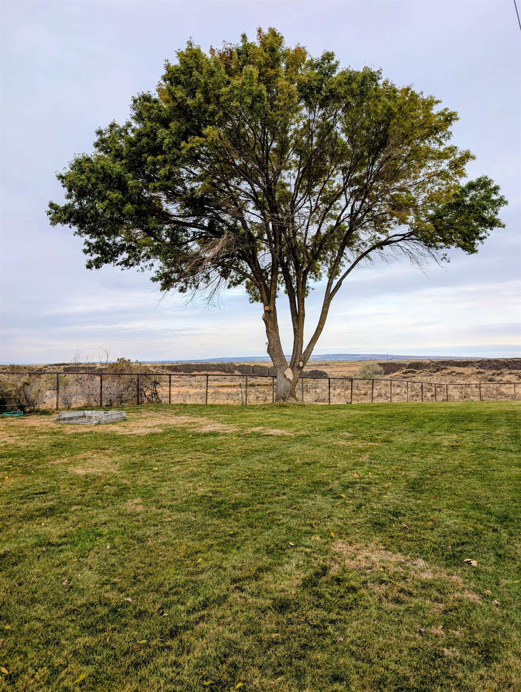 2175 W McManamon Rd - Photo 49