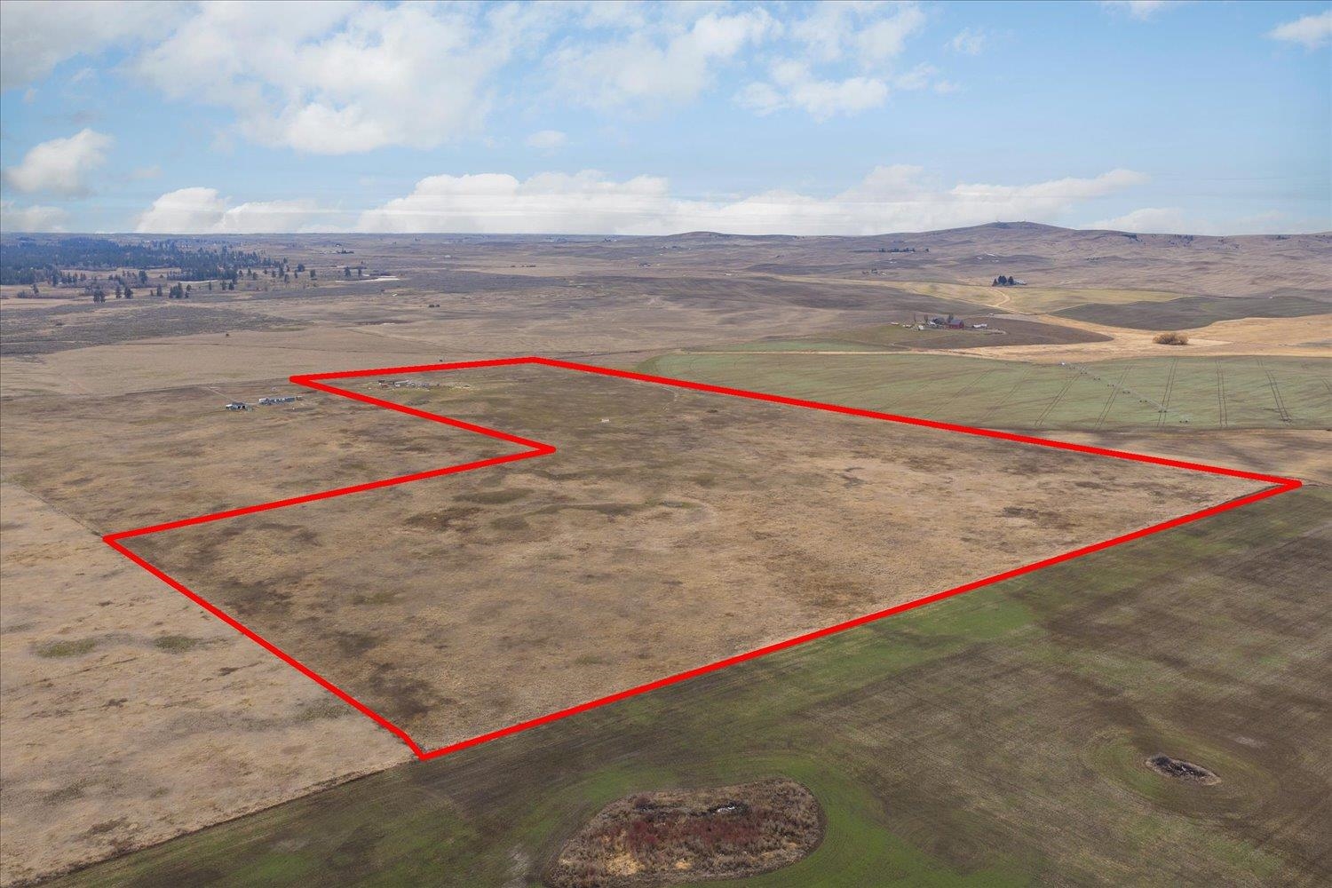 295xx W Hallett Rd - Photo 12