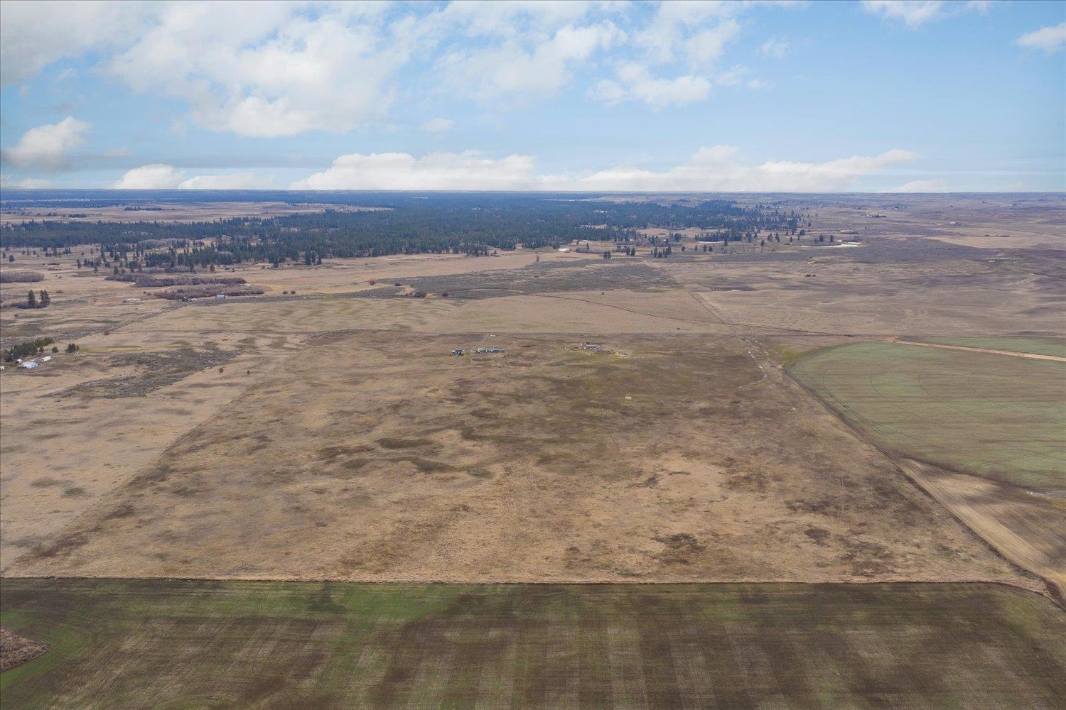 295xx W Hallett Rd - Photo 13