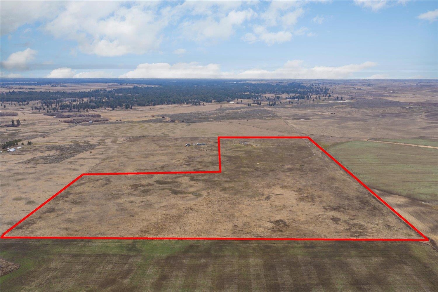 295xx W Hallett Rd - Photo 14