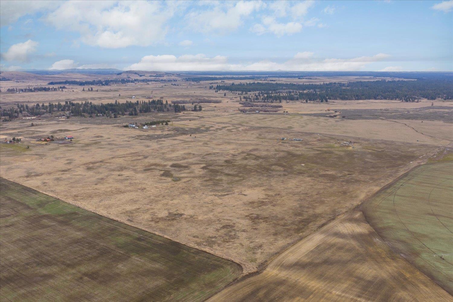 295xx W Hallett Rd - Photo 15