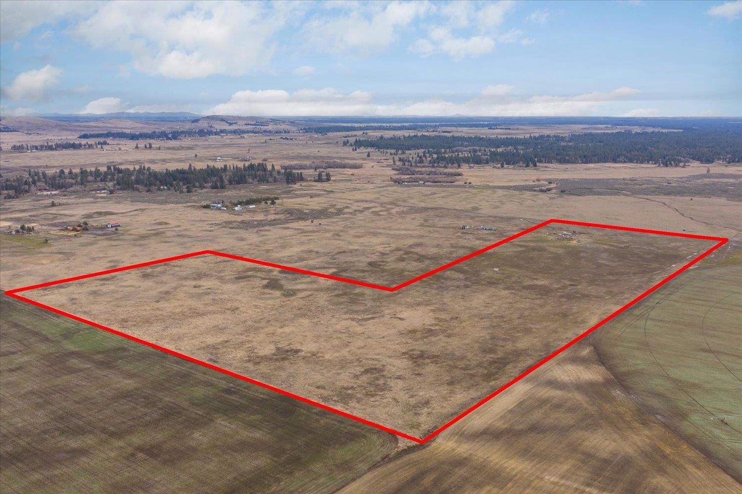 295xx W Hallett Rd - Photo 16