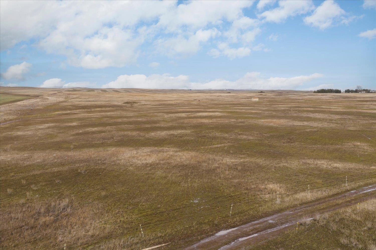 295xx W Hallett Rd - Photo 6