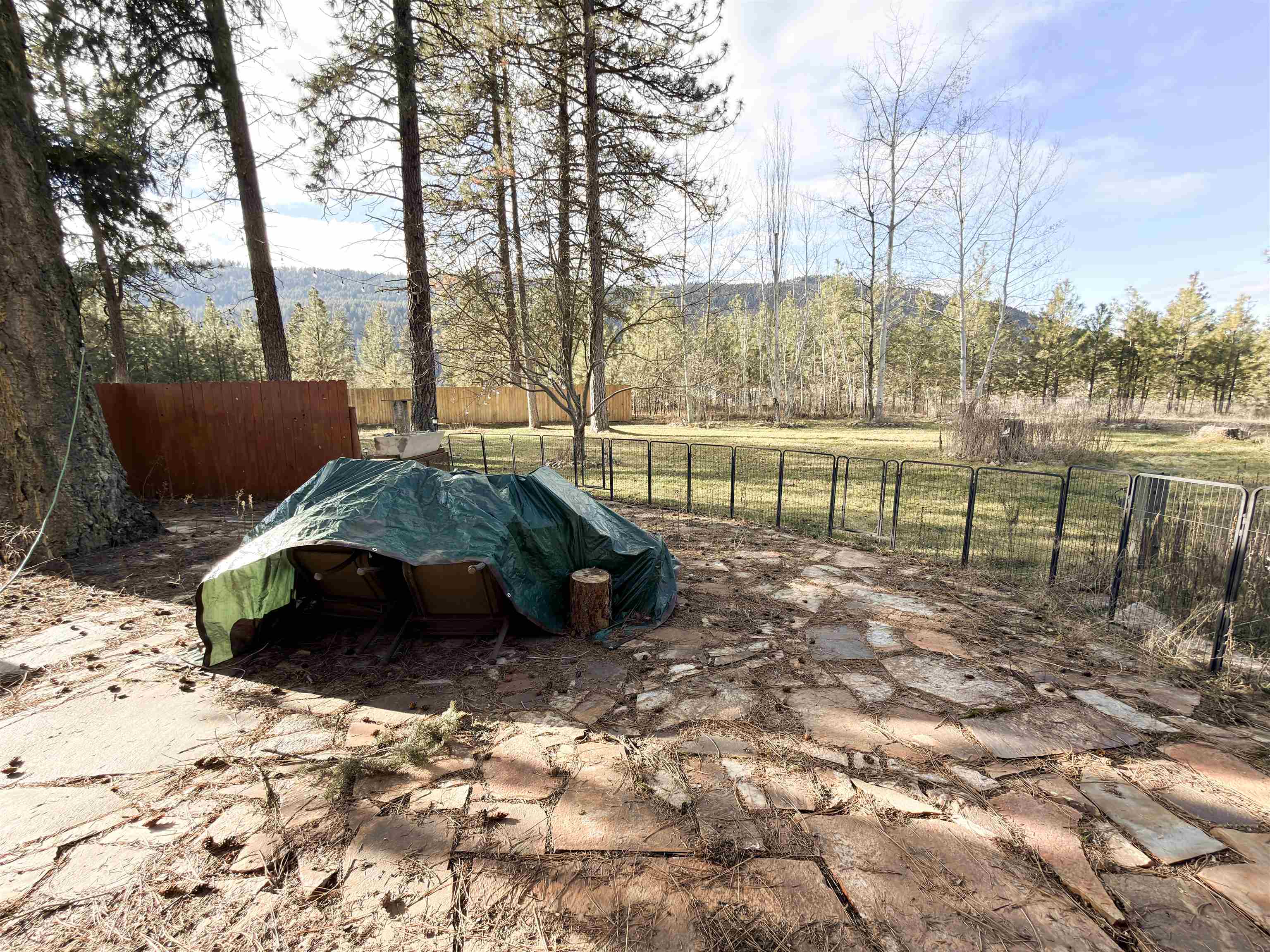 763 Adam Sherry Rd - Photo 34
