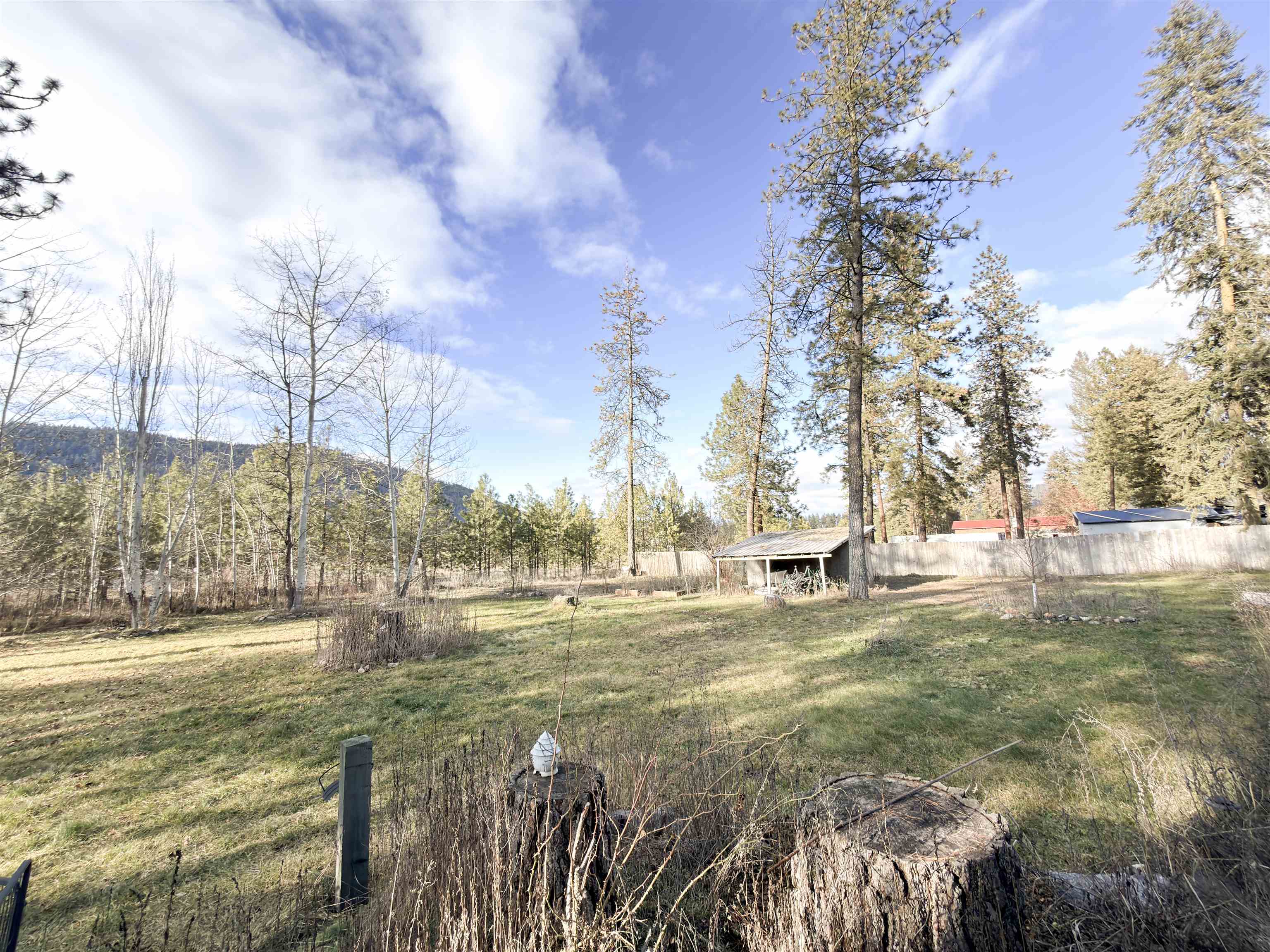 763 Adam Sherry Rd - Photo 36