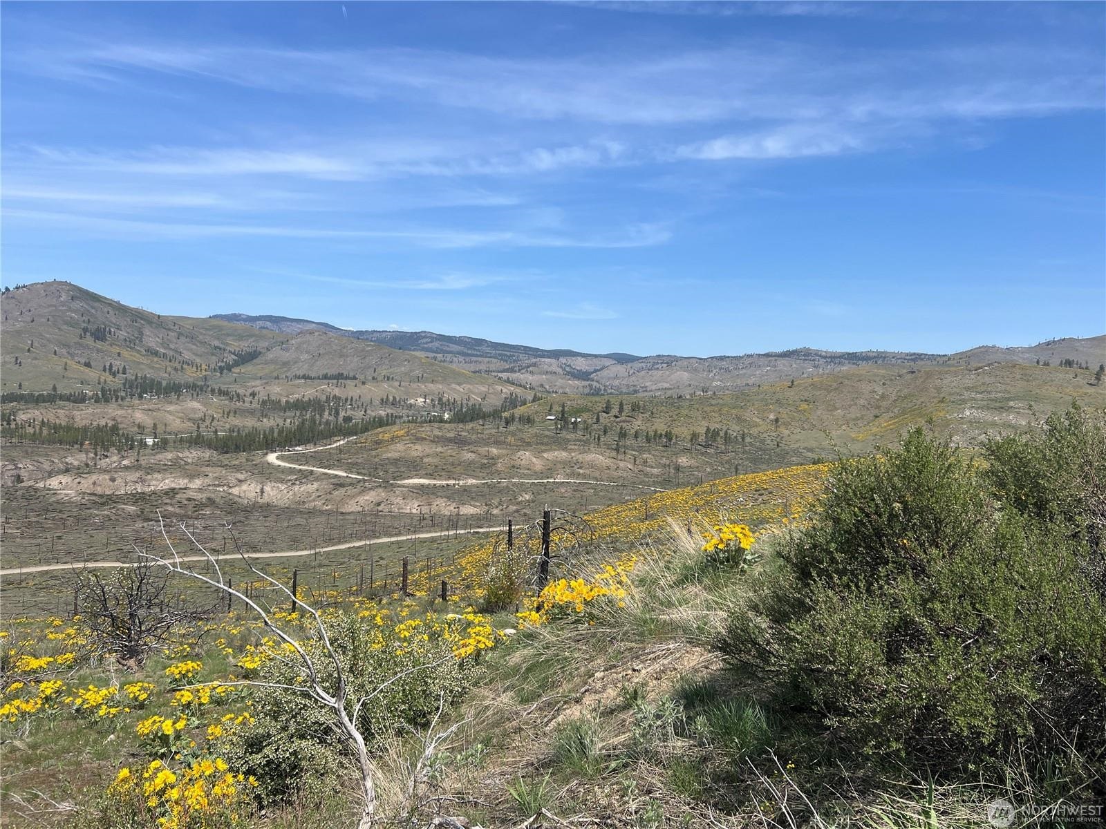 Lot 4 High Ranch Rd - Photo 3