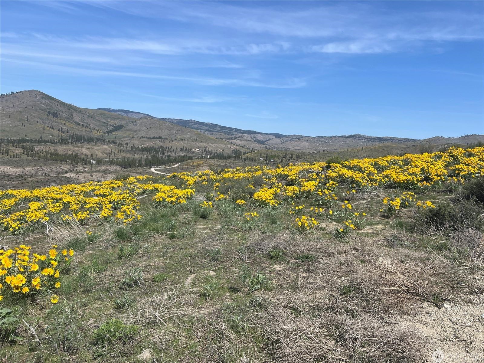 Lot 4 High Ranch Rd - Photo 4