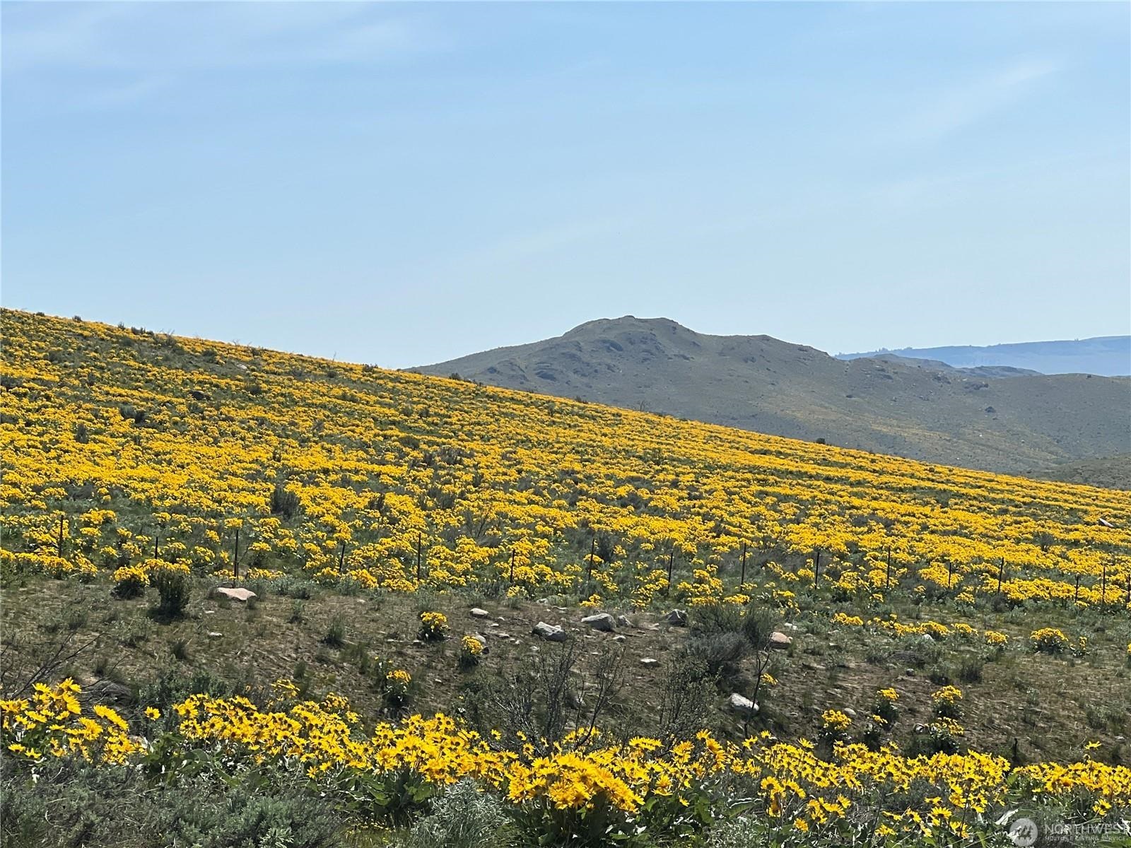 Lot 4 High Ranch Rd - Photo 6