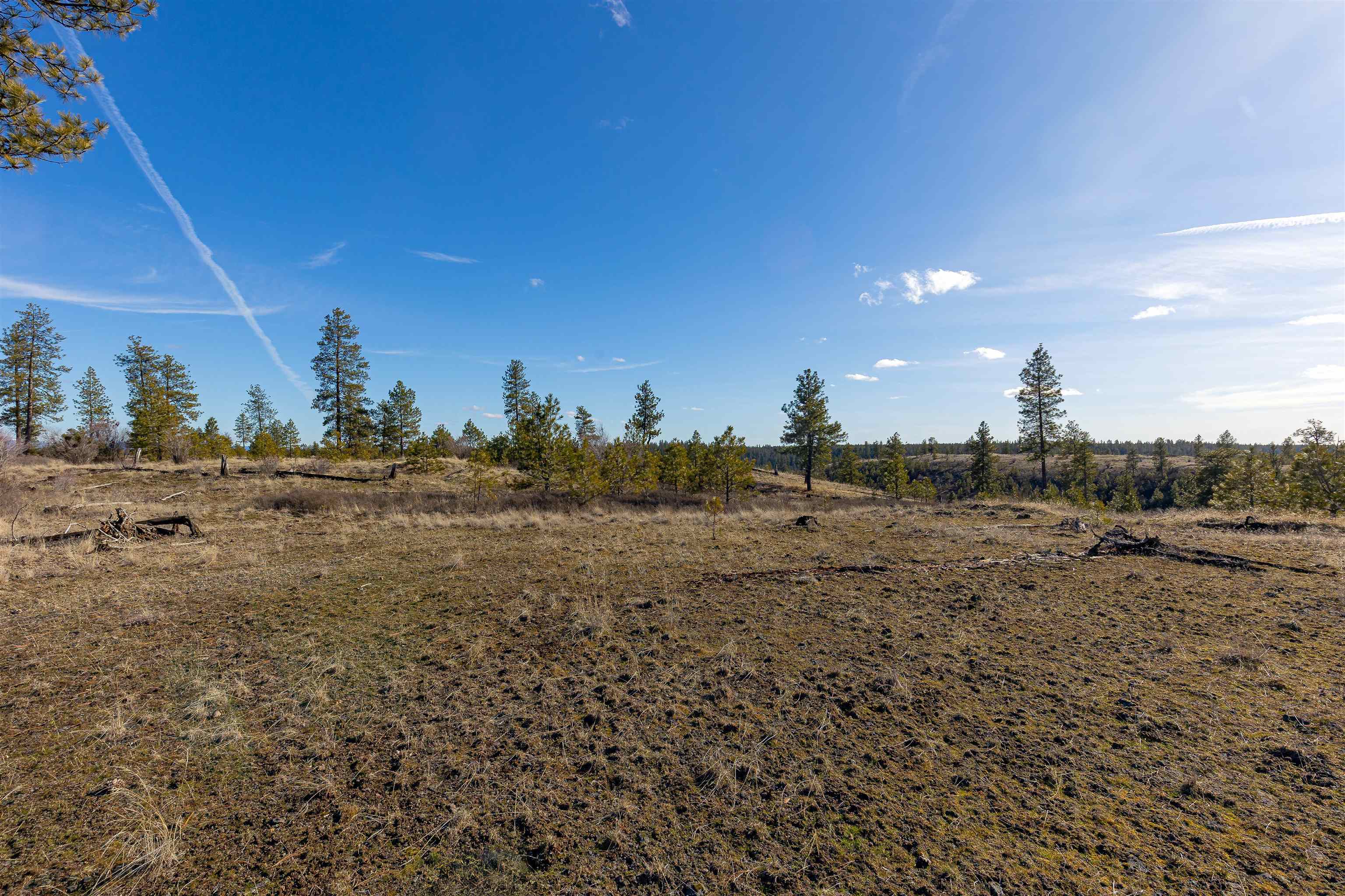 ANK N Gordon Rd - Photo 14